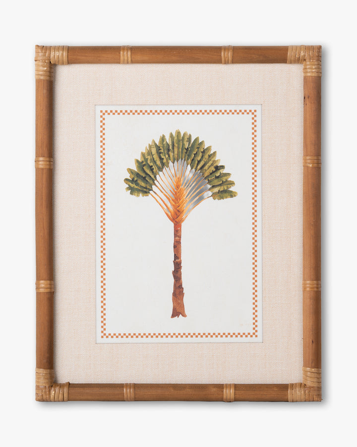Tropical Palm Framed Wall Art C