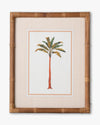 Tropical Palm Framed Wall Art D