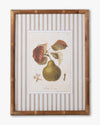 Vintage Pear Framed Wall Art A