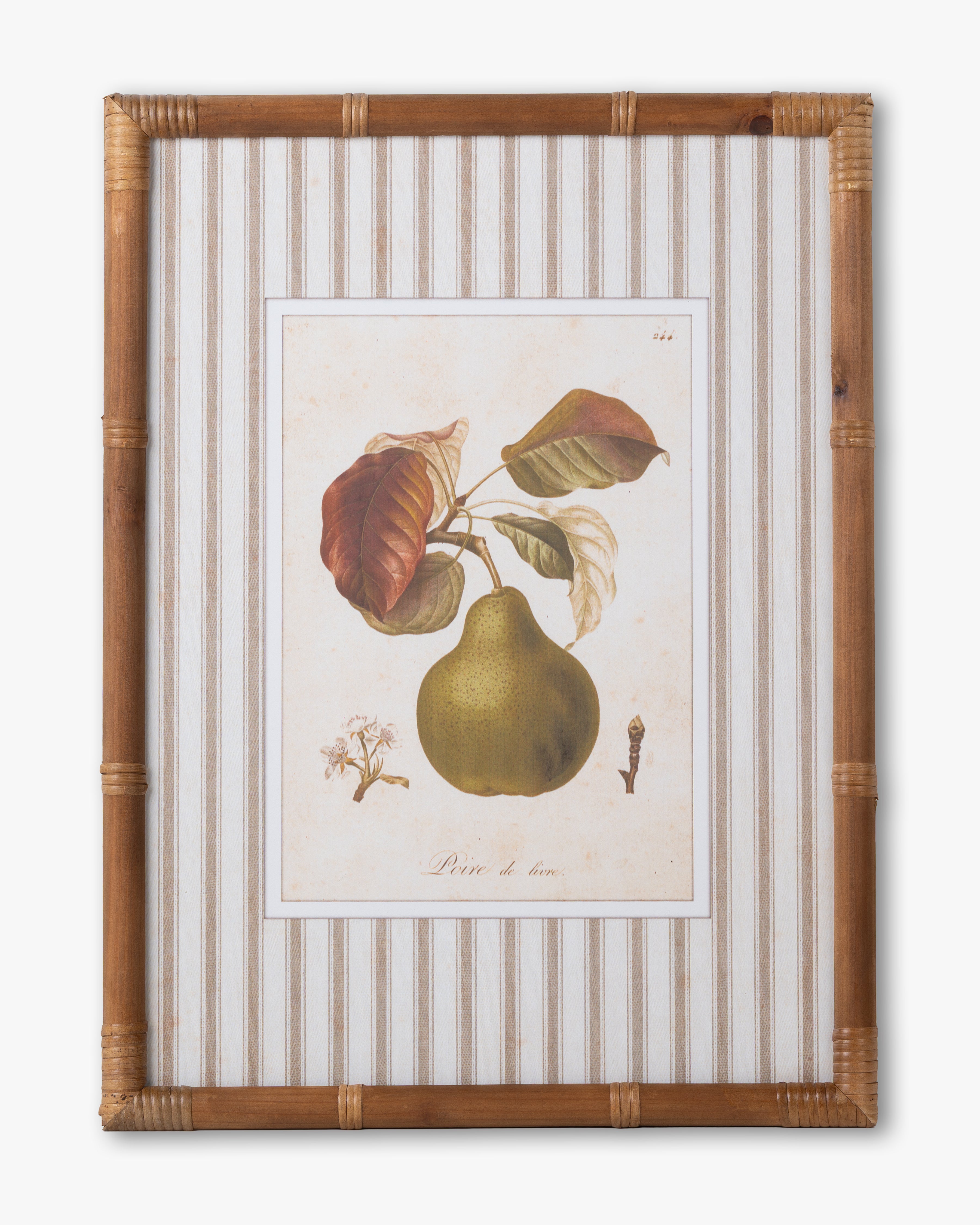 Vintage Pear Framed Wall Art A