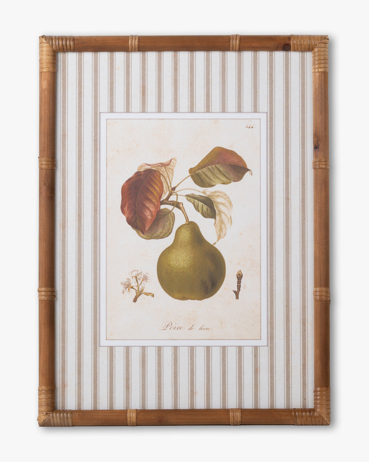 Vintage Pear Framed Wall Art A