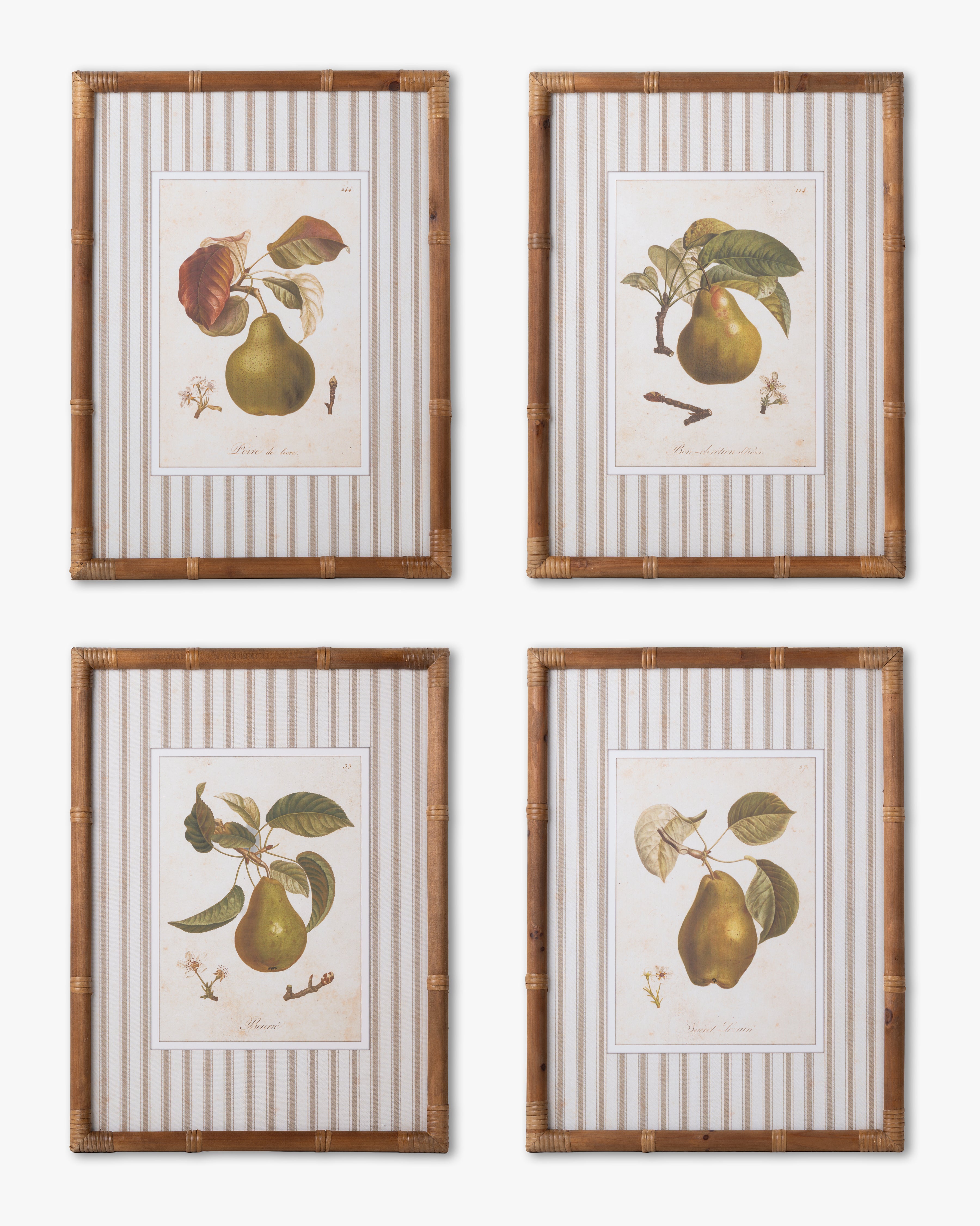 Vintage Pear Framed Wall Art D