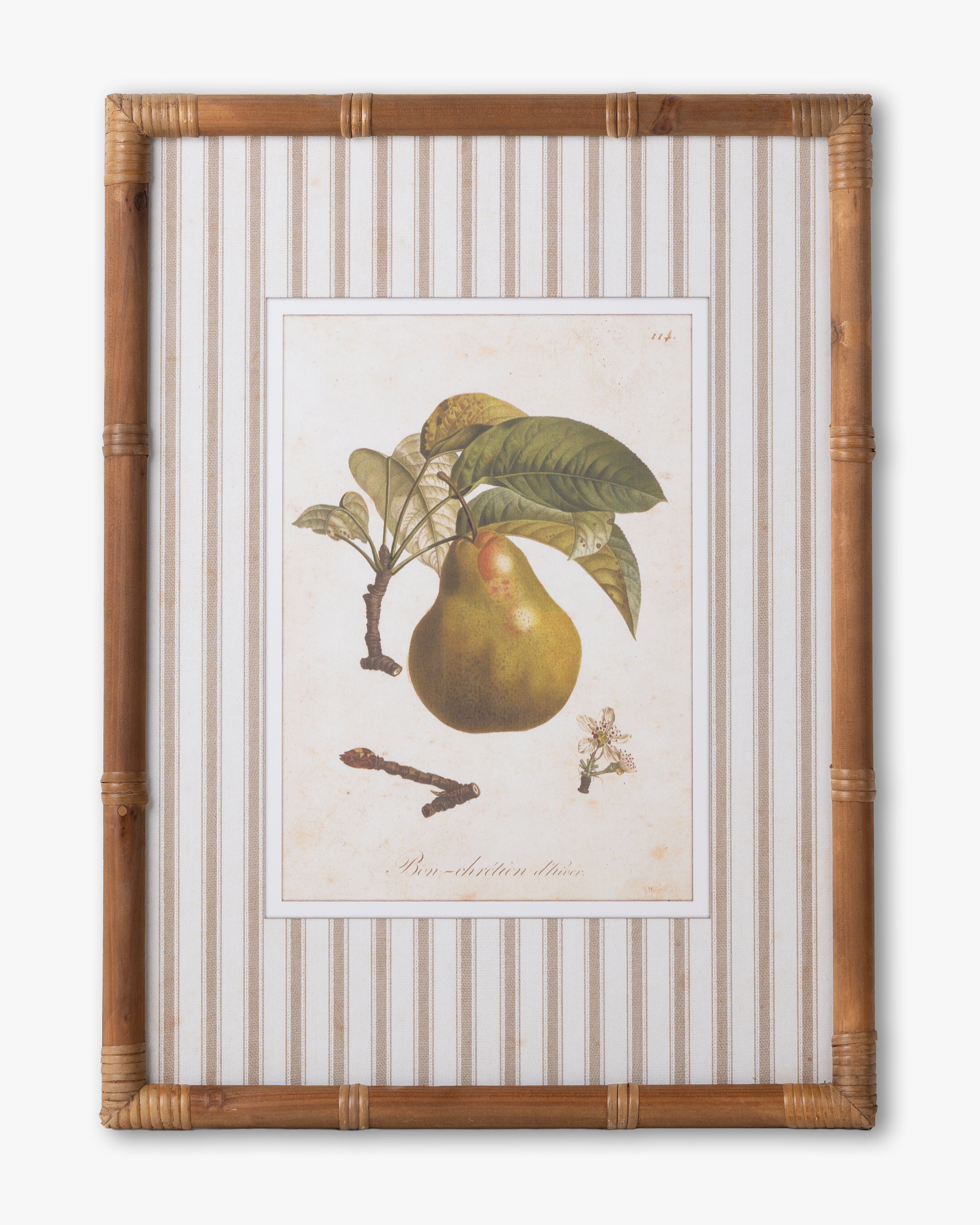 Vintage Pear Framed Wall Art B