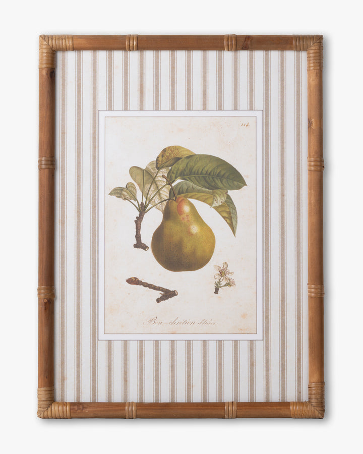 Vintage Pear Framed Wall Art B