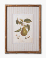 Vintage Pear Framed Wall Art C