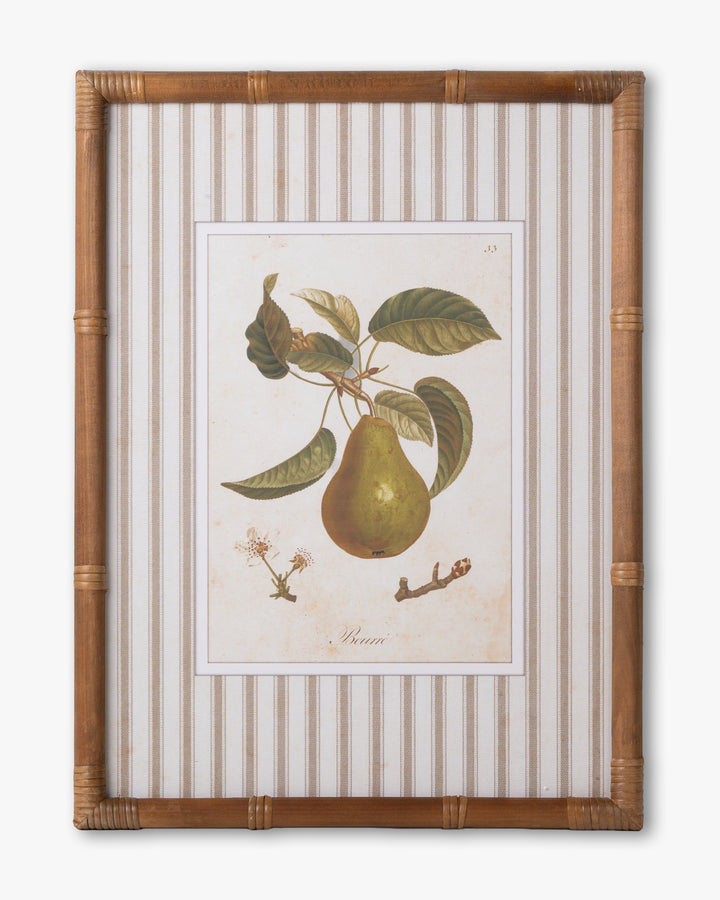 Vintage Pear Framed Wall Art C