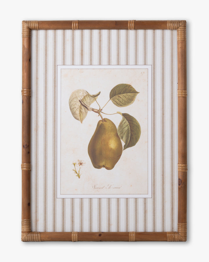 Vintage Pear Framed Wall Art D