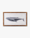 Nautical Whale Framed Wall Art A