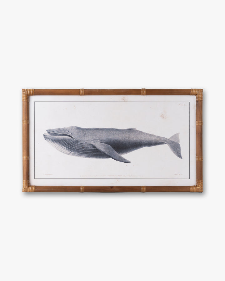 Nautical Whale Framed Wall Art A