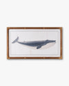 Nautical Whale Framed Wall Art B