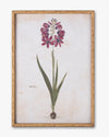 Botanical Bloom Framed Wall Art A