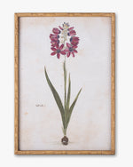 Botanical Bloom Framed Wall Art A