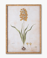 Botanical Bloom Framed Wall Art B