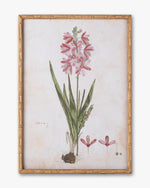 Botanical Bloom Framed Wall Art C