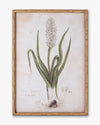 Botanical Bloom Framed Wall Art E