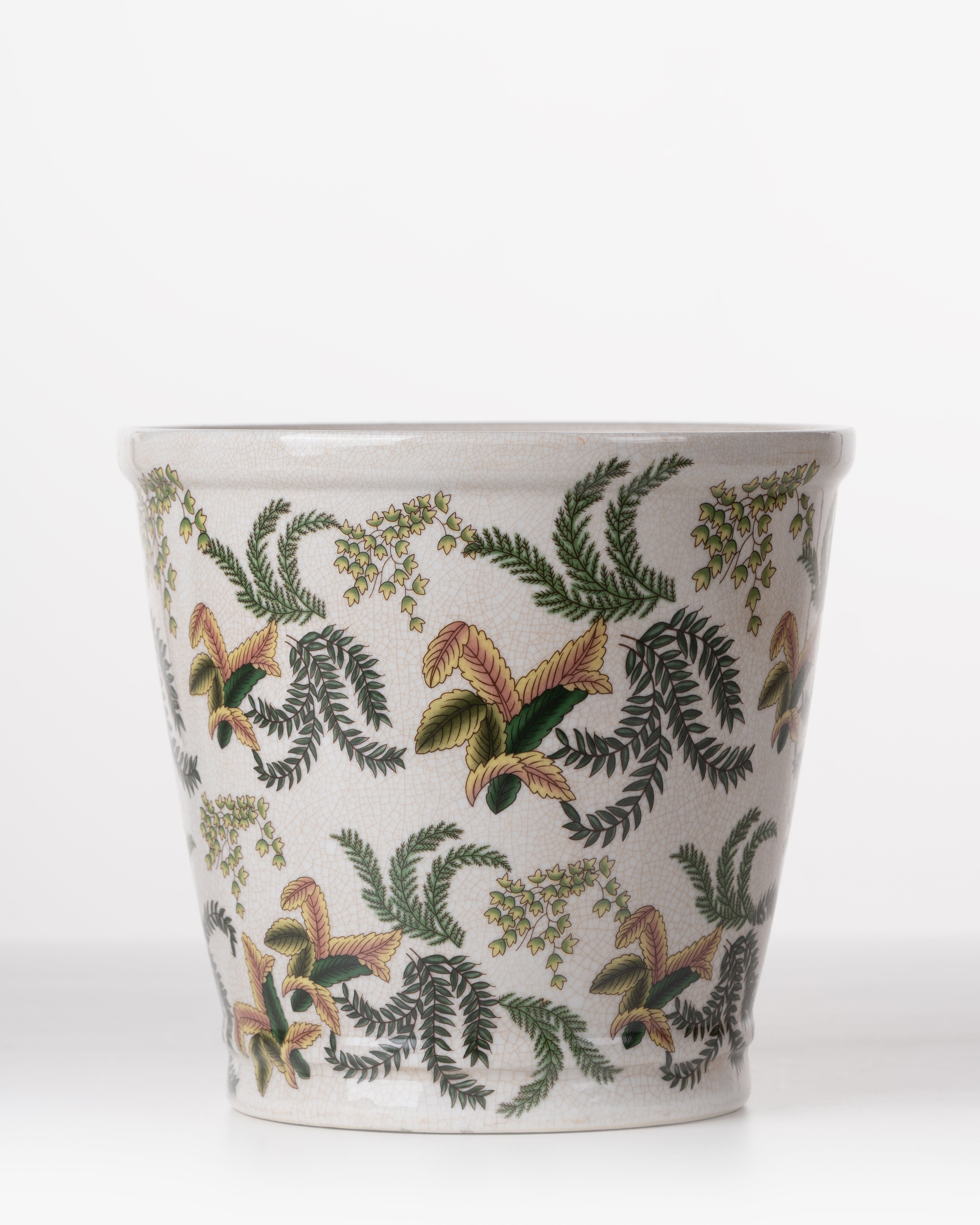 Ceramic Planter | Green Fern