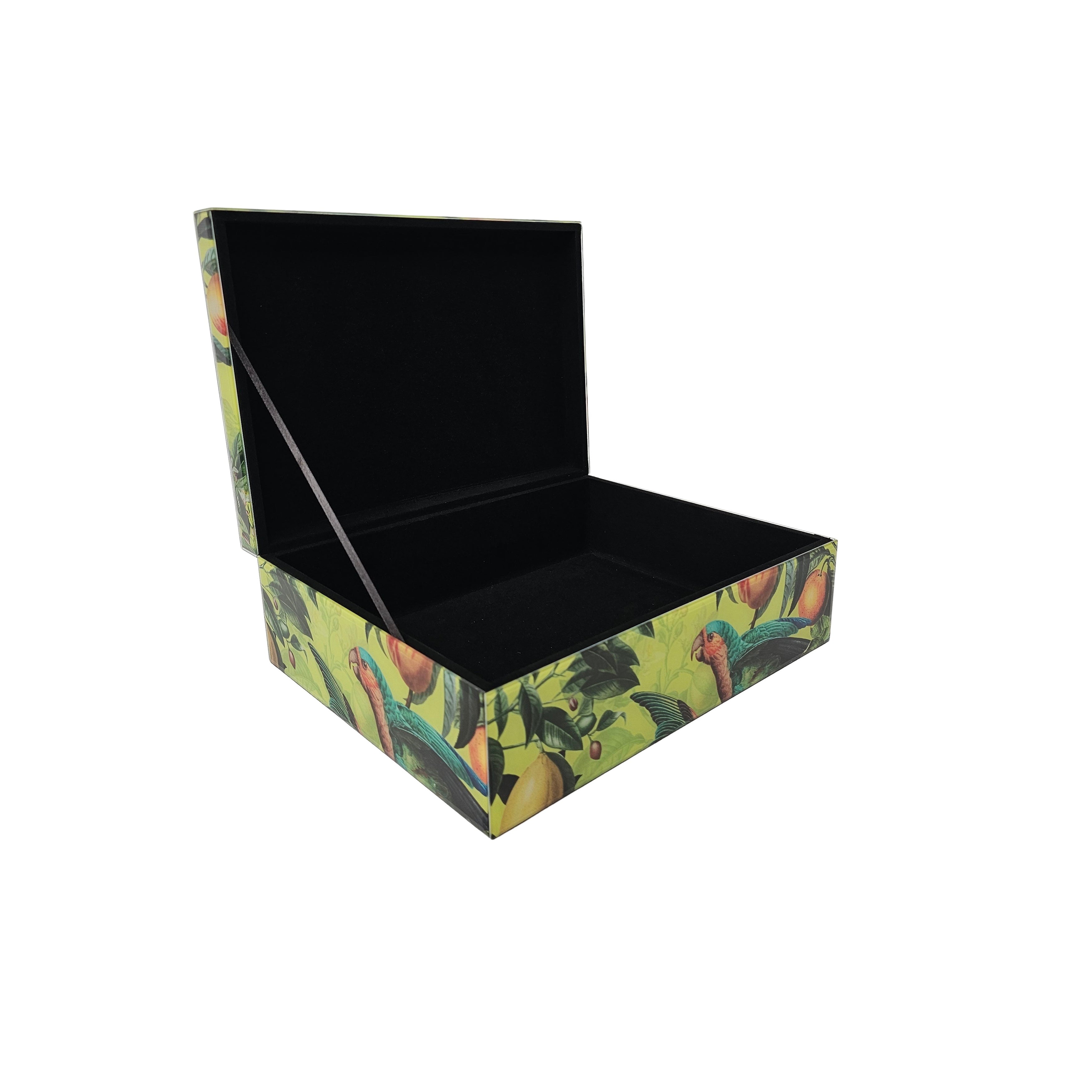 Tropical Parrot Storage Box | Large