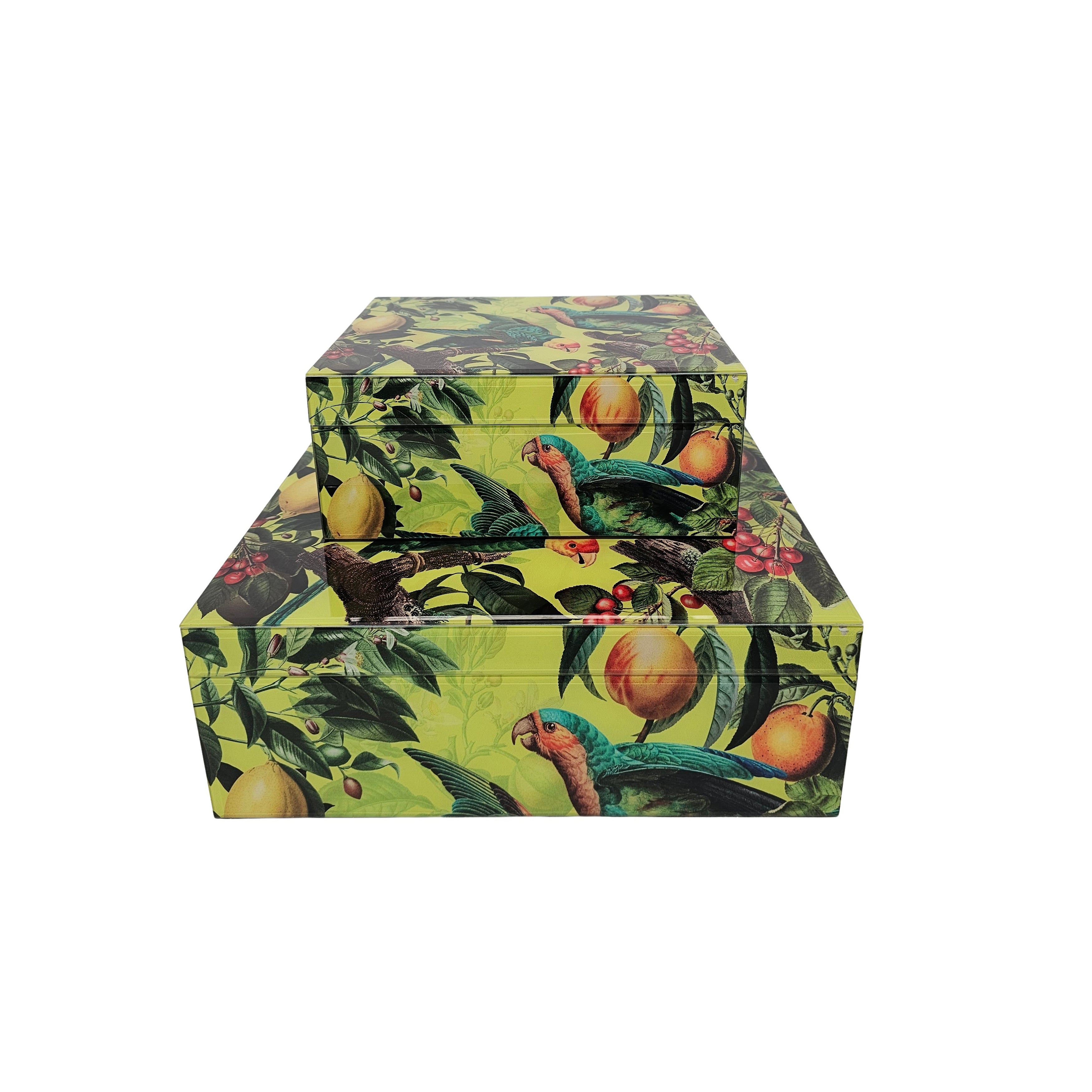 Tropical Parrot Storage Box | Large