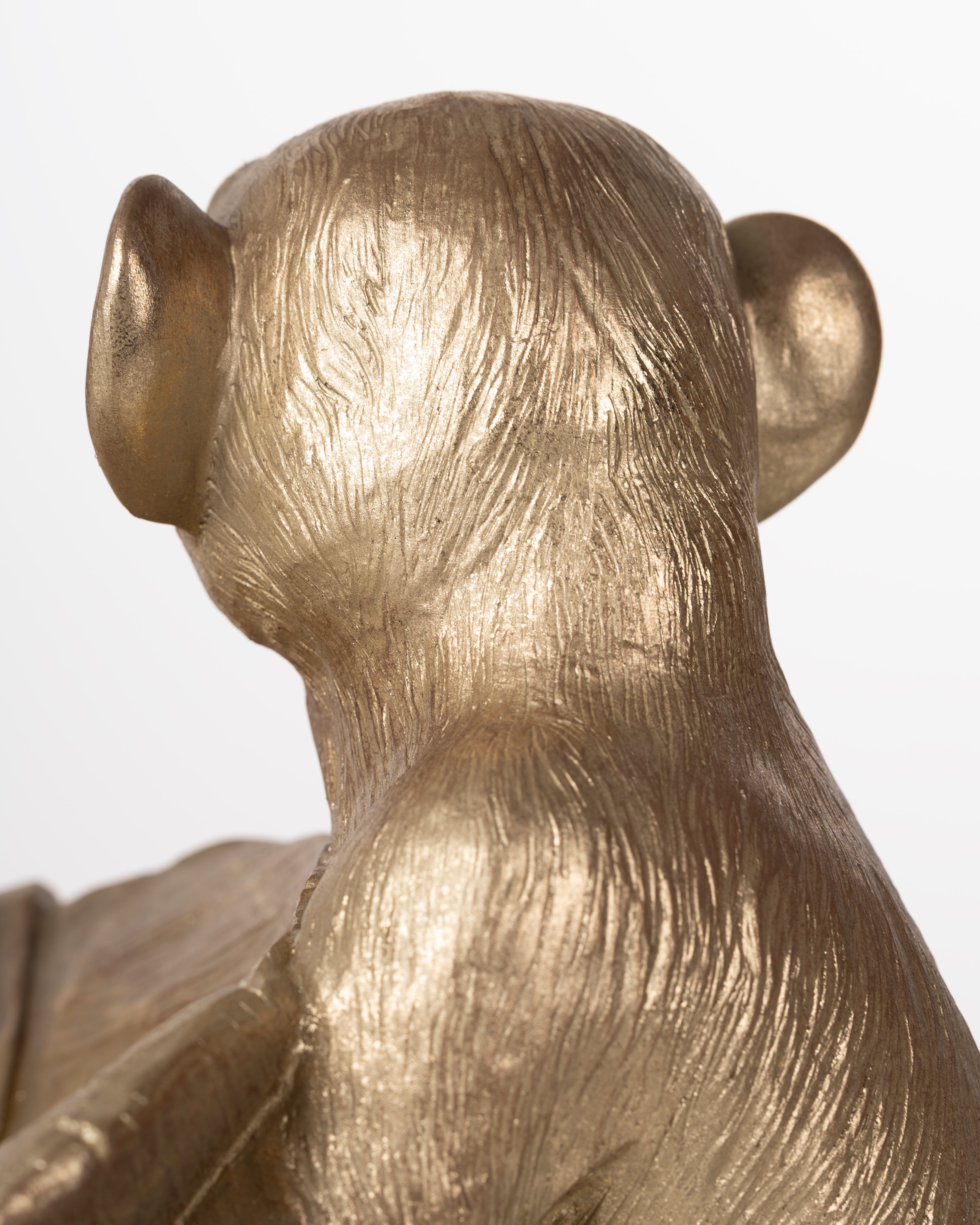 Monkey Bowl | Gold