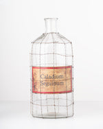 Vintage Wire Glass Vase | Large