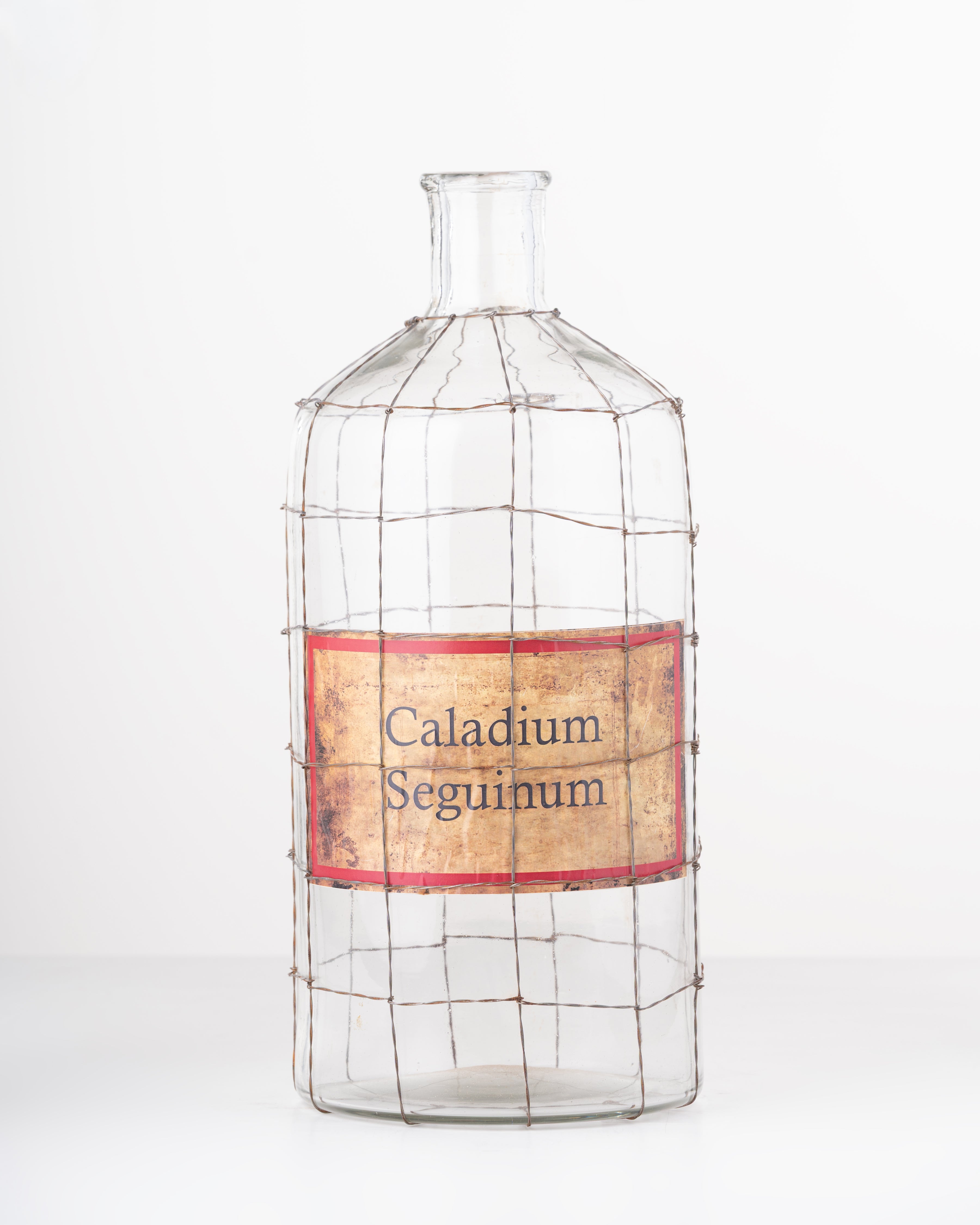 Vintage Wire Glass Vase | Large