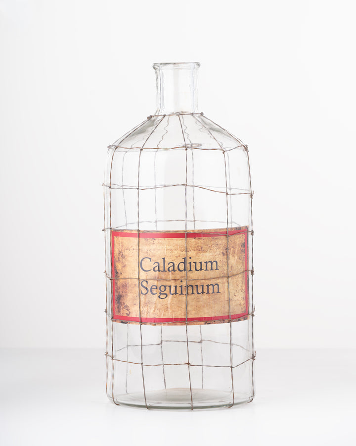 Vintage Wire Glass Vase | Large