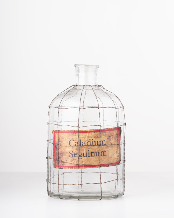 Vintage Wire Glass Vase | Small