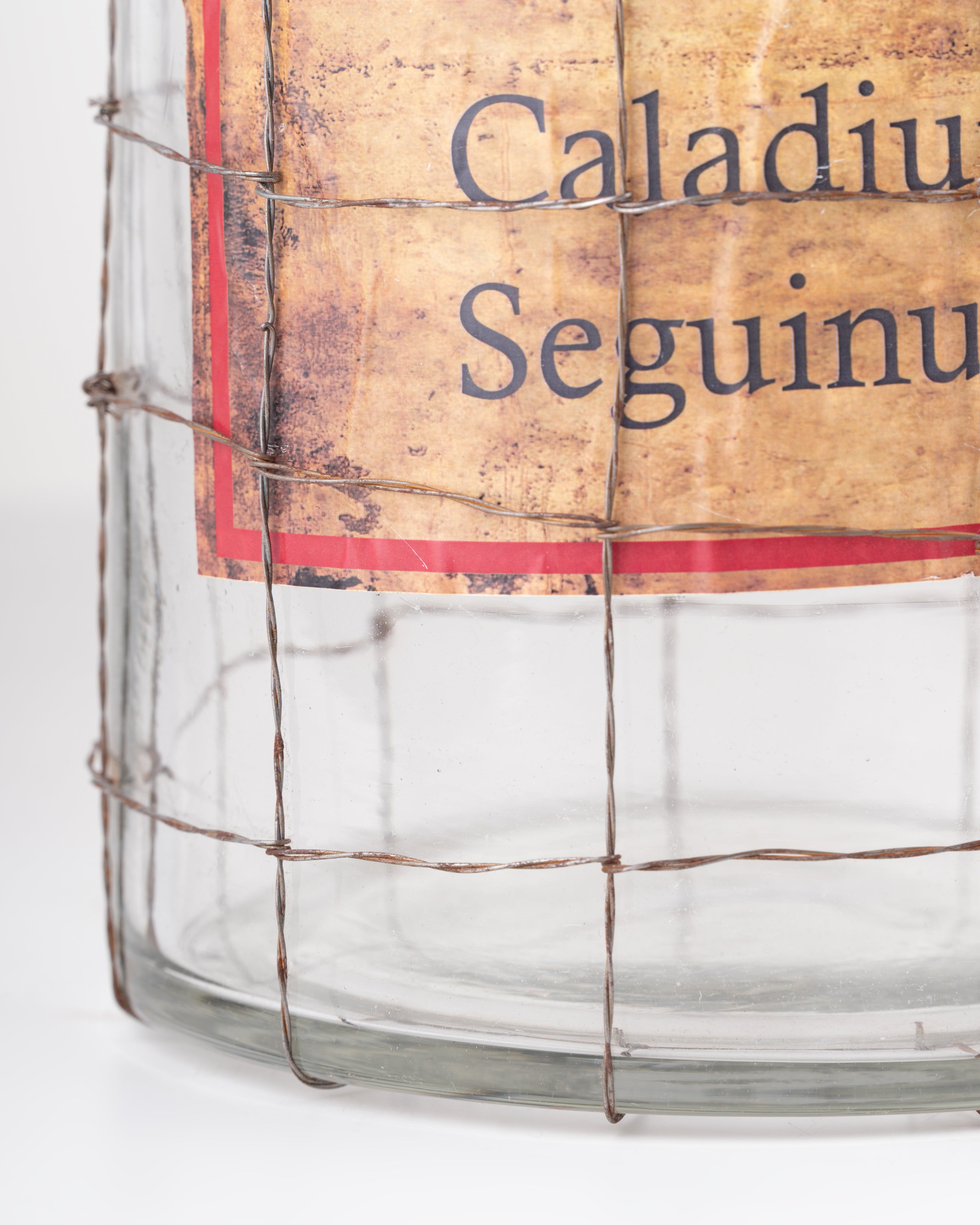 Vintage Wire Glass Vase | Small