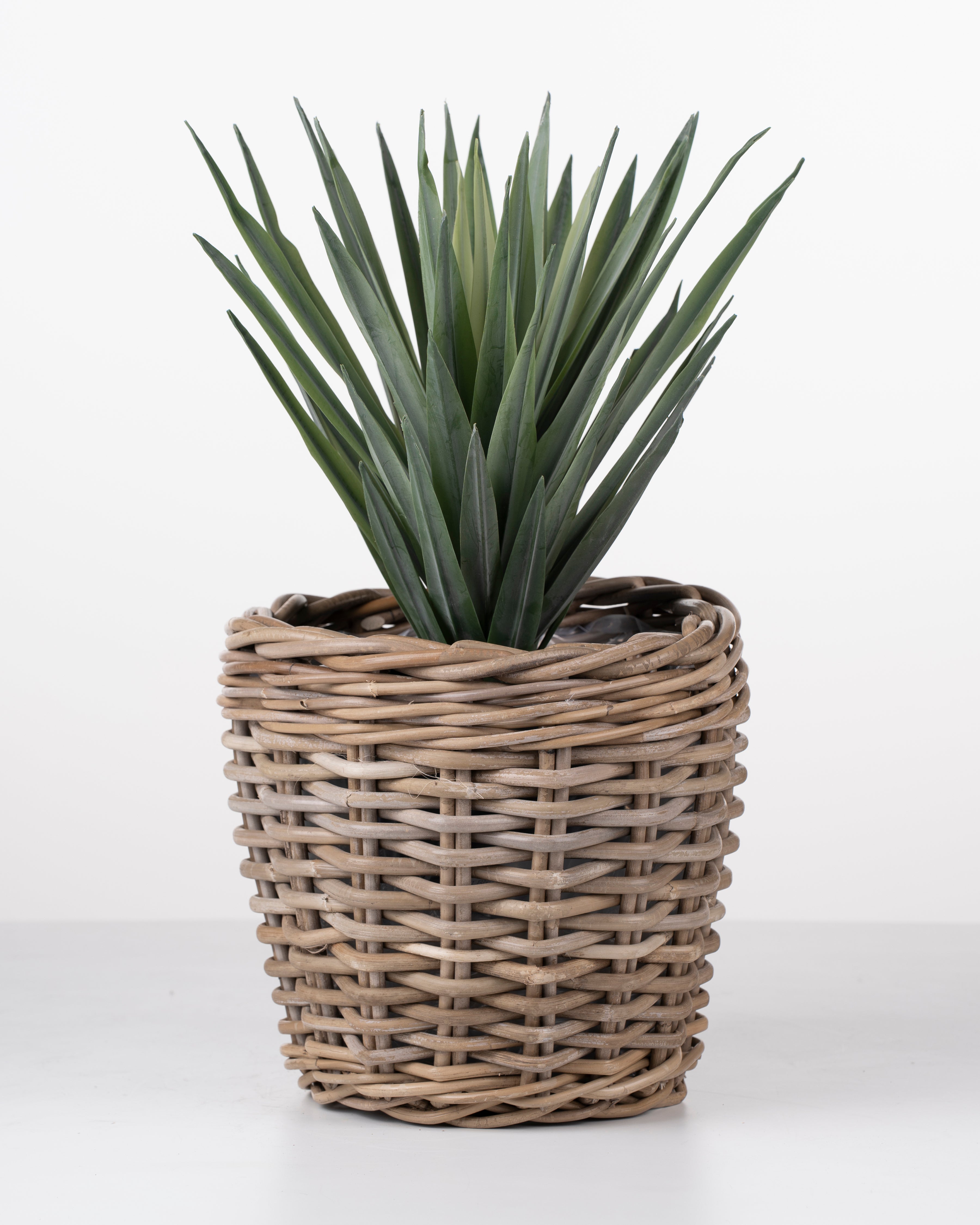Faux Sisal Plant | 38cm