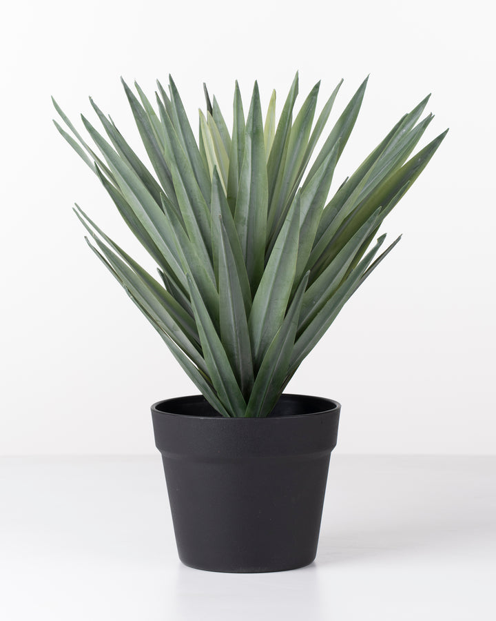 Faux Sisal Plant | 38cm