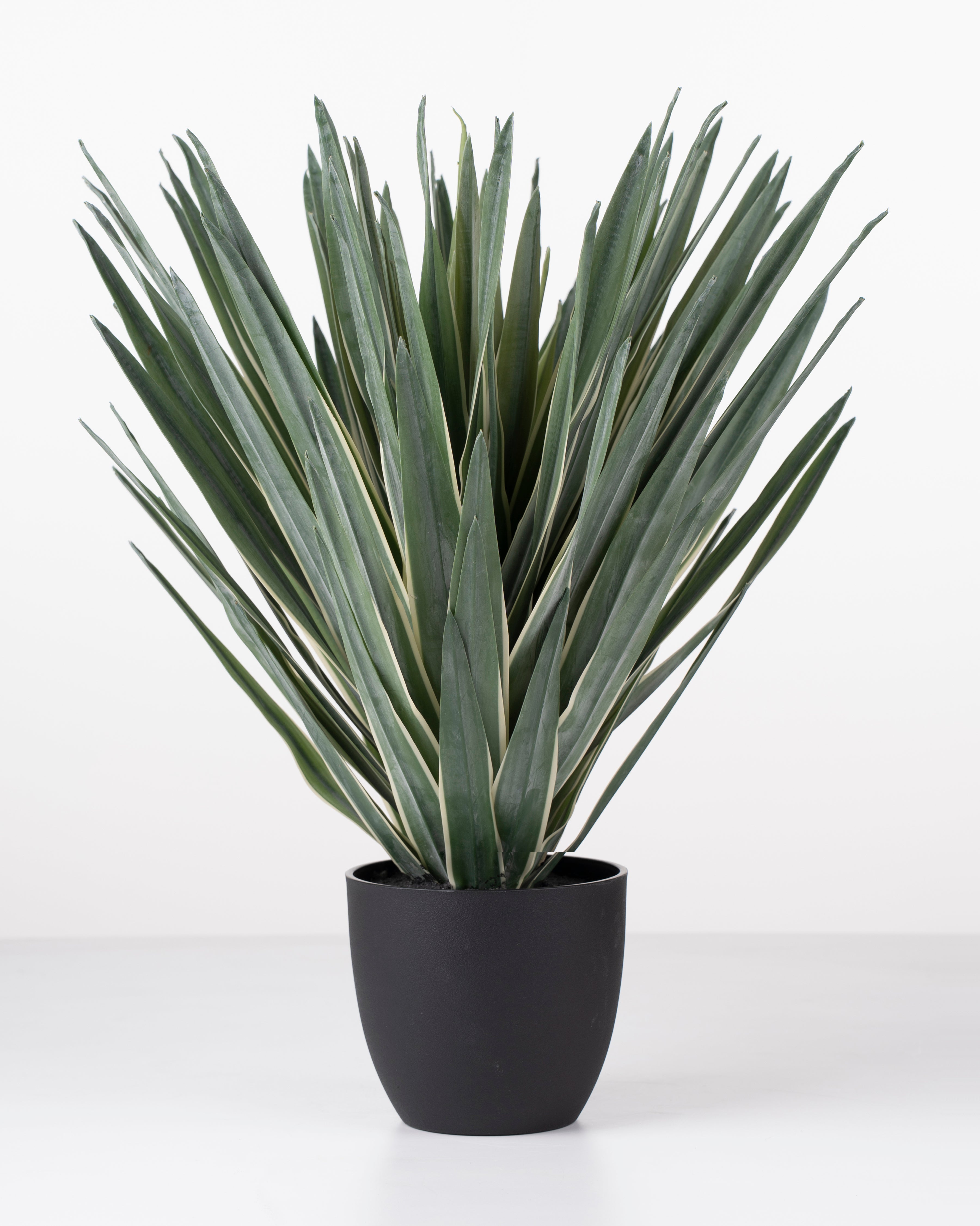 Faux Sisal Plant | 49cm
