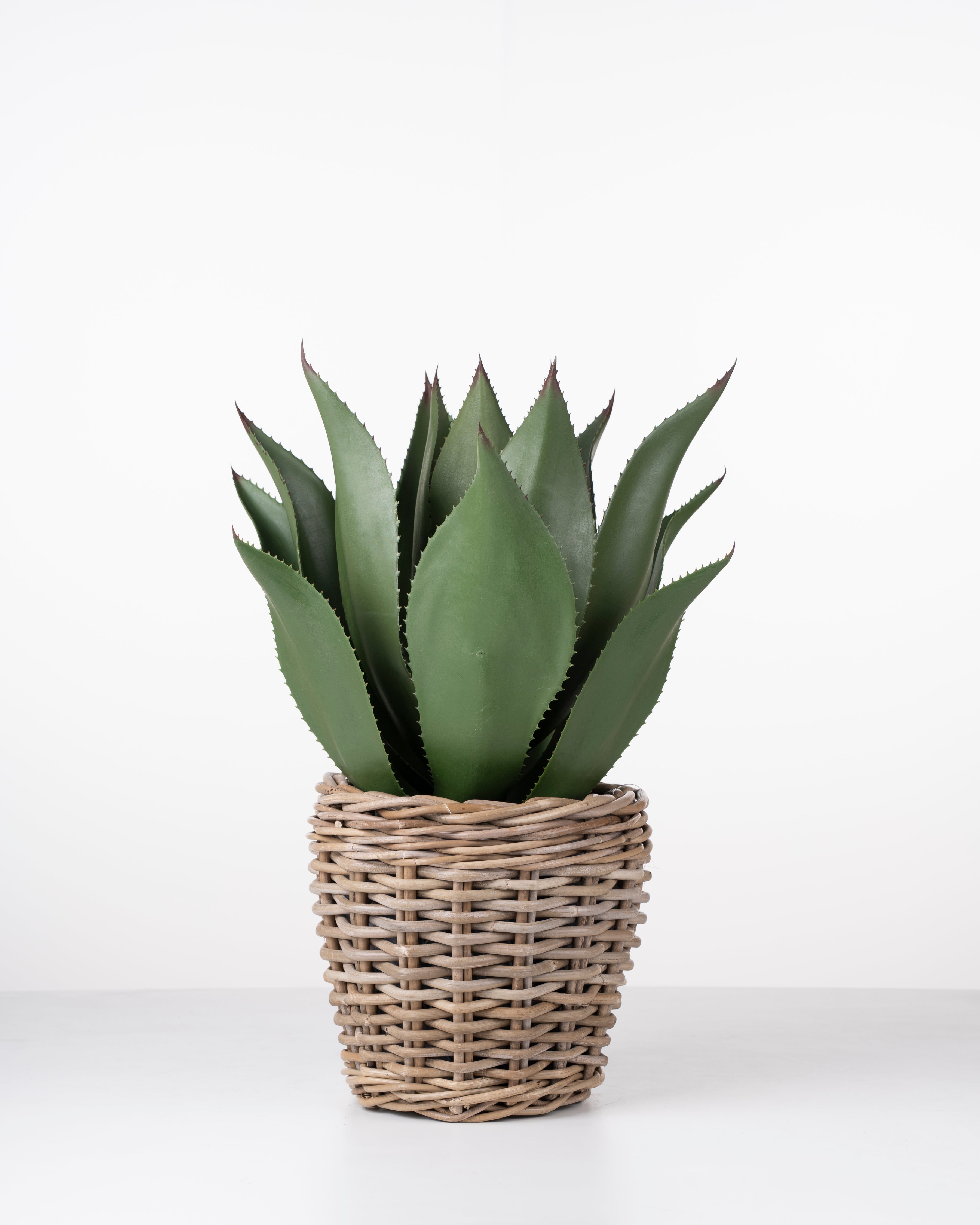 Faux Agave Plant