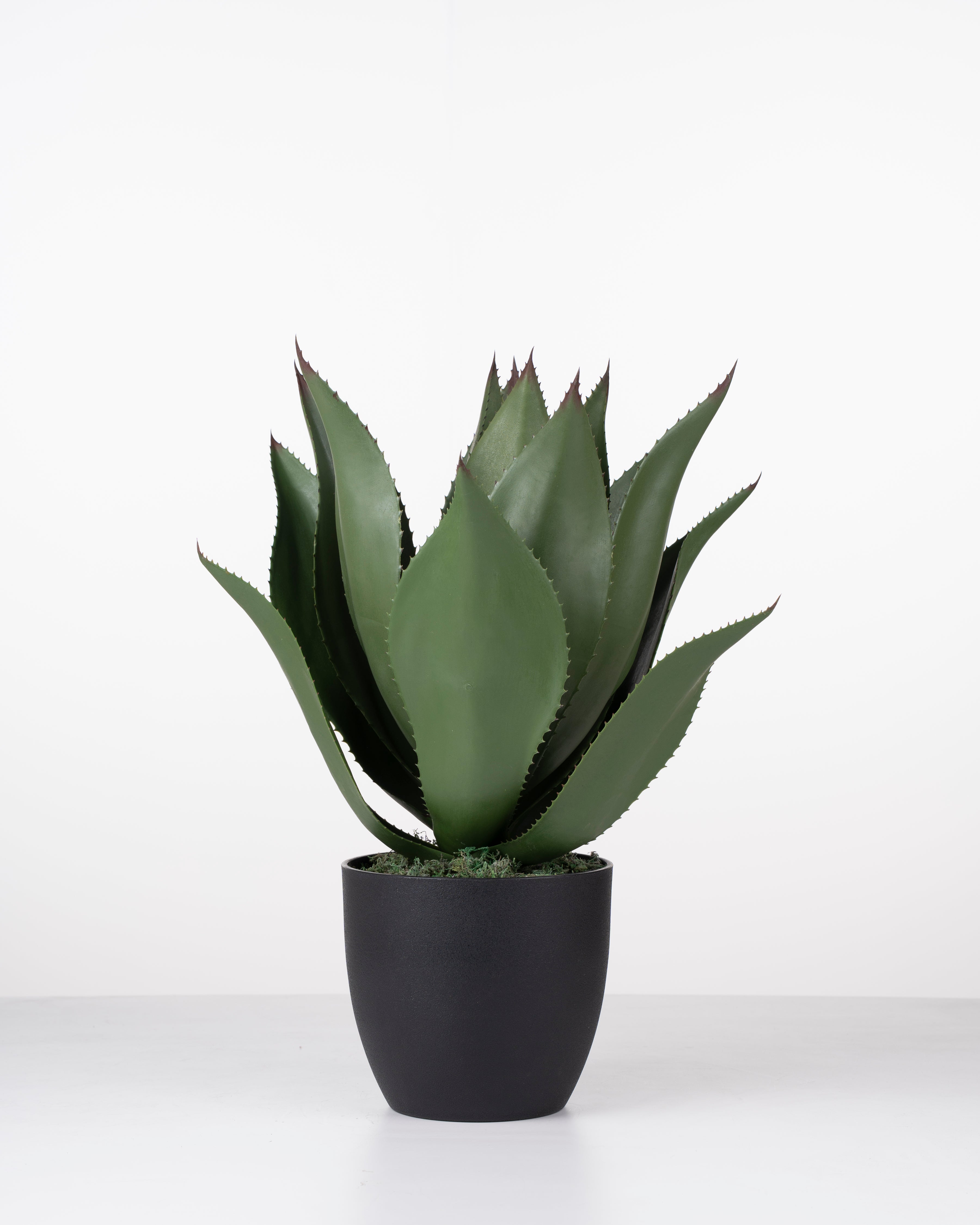Faux Agave Plant
