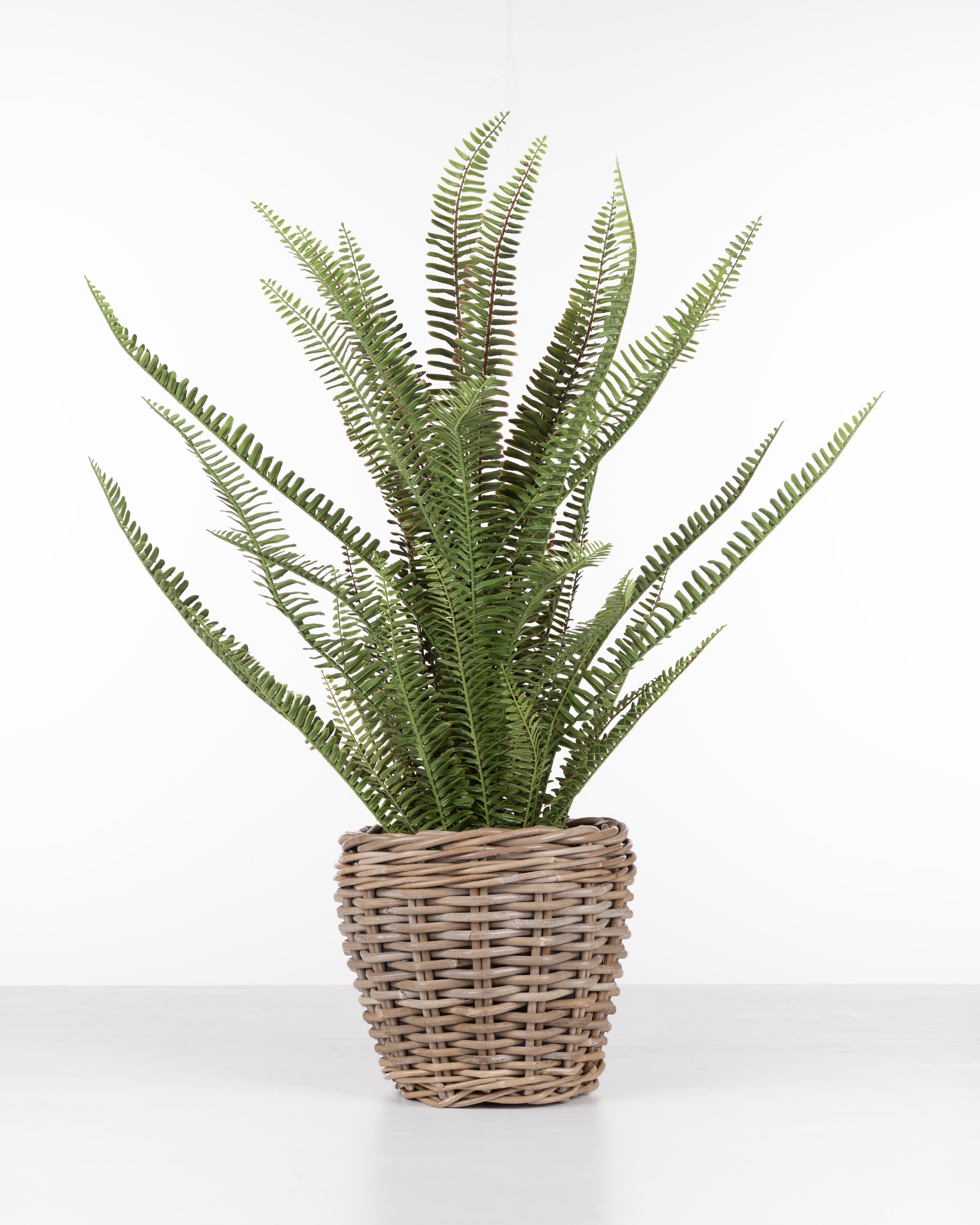 Faux Fern Plant | 82cm