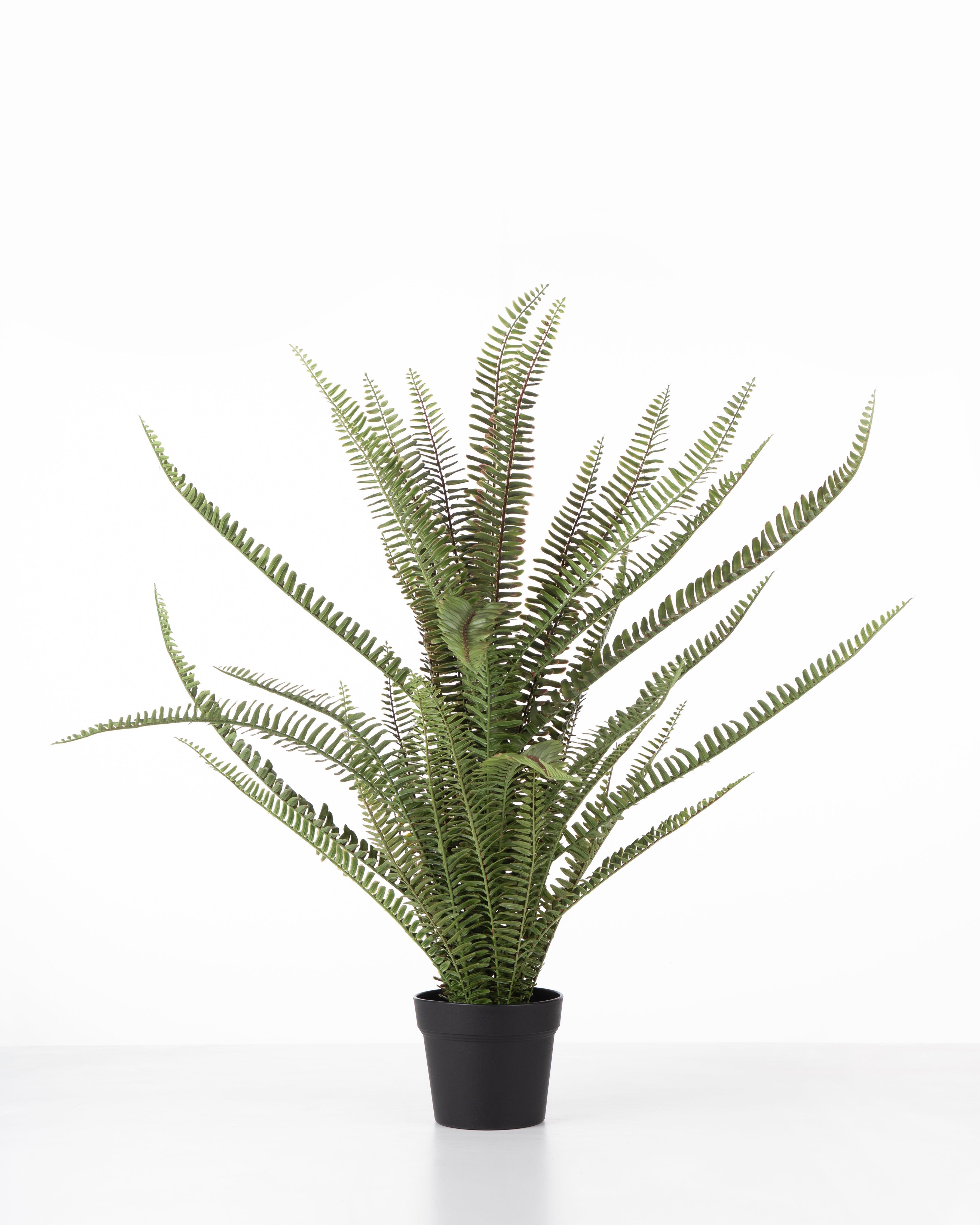Faux Fern Plant | 82cm