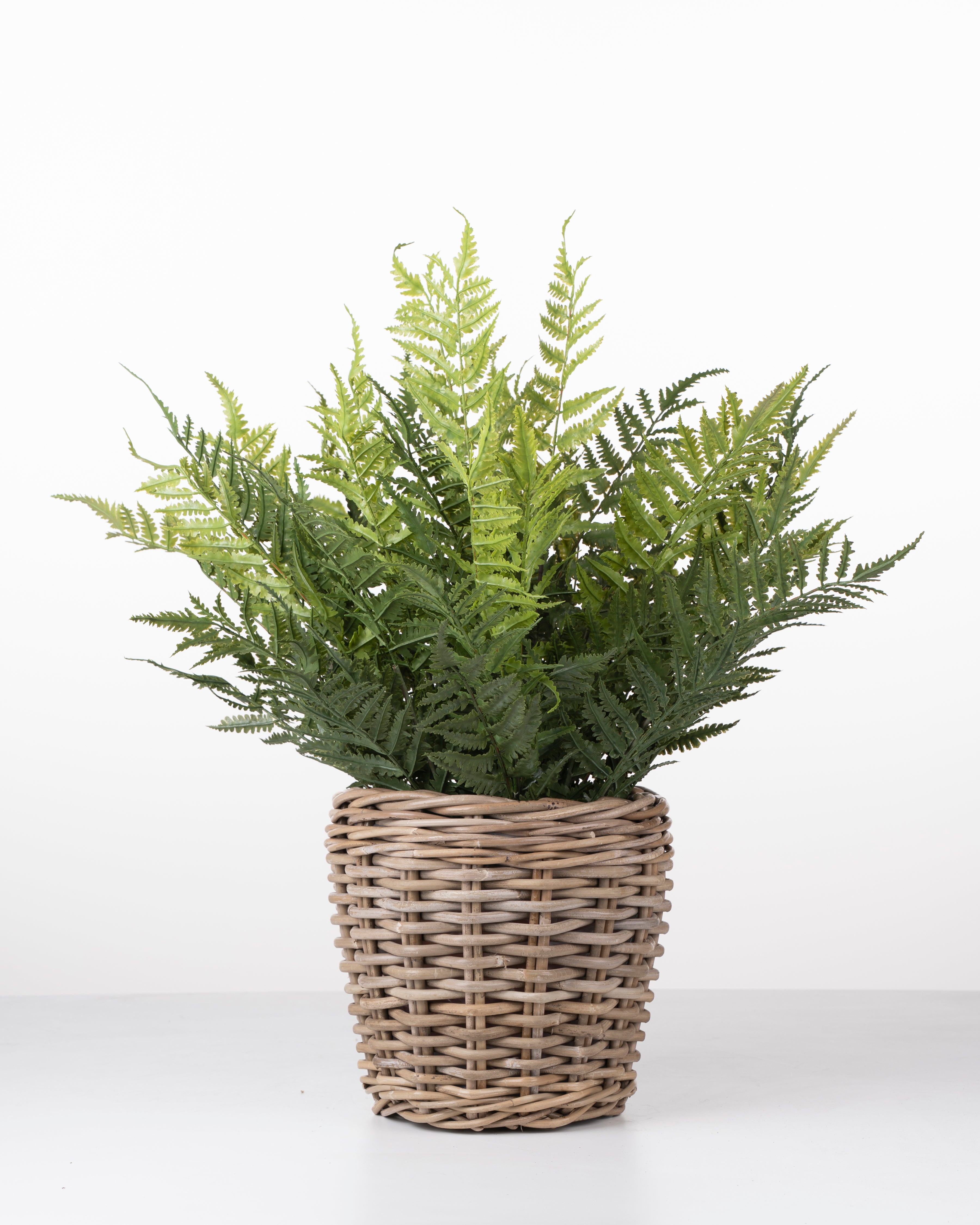 Faux Fern Plant | 58cm