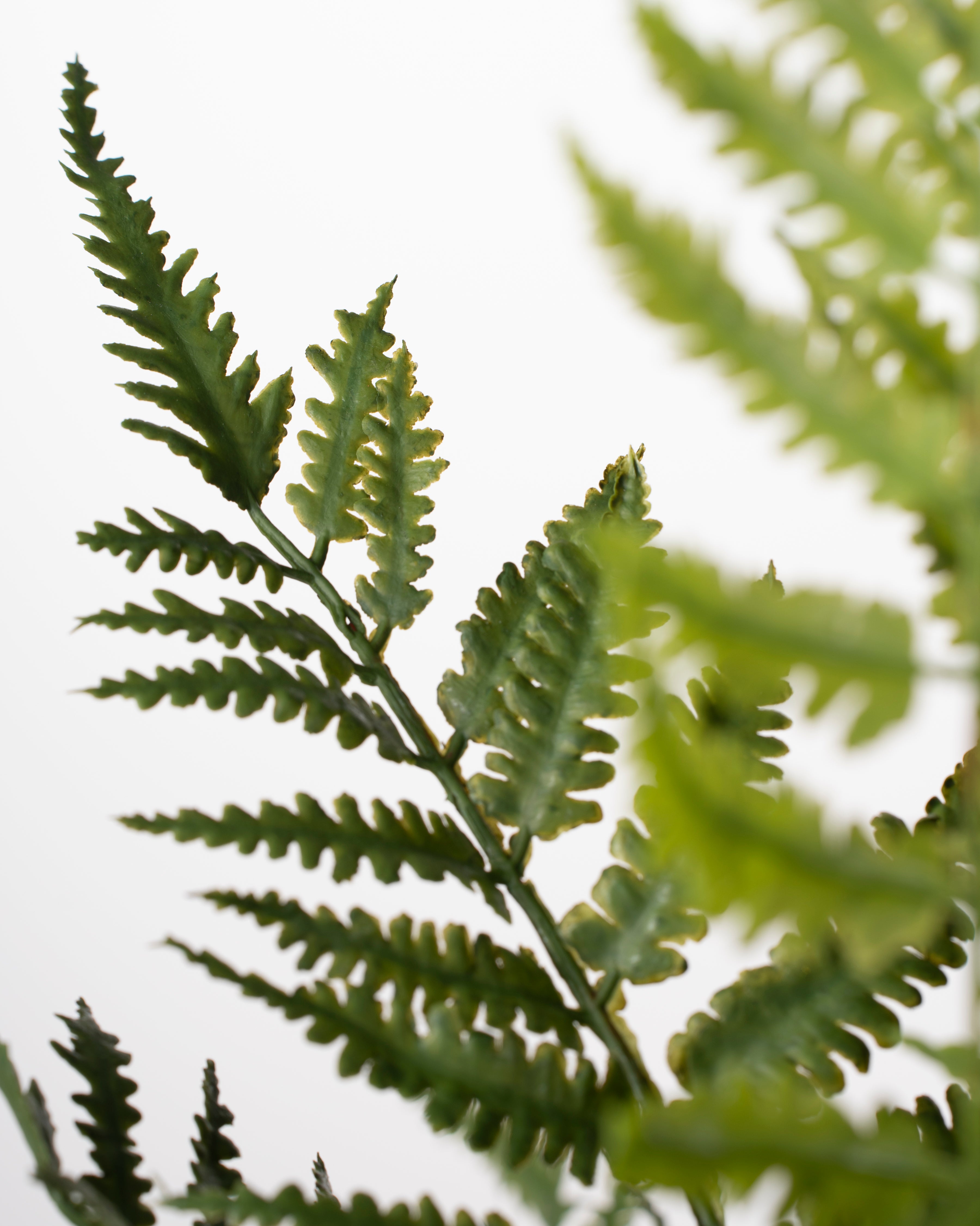 Faux Fern Plant | 58cm
