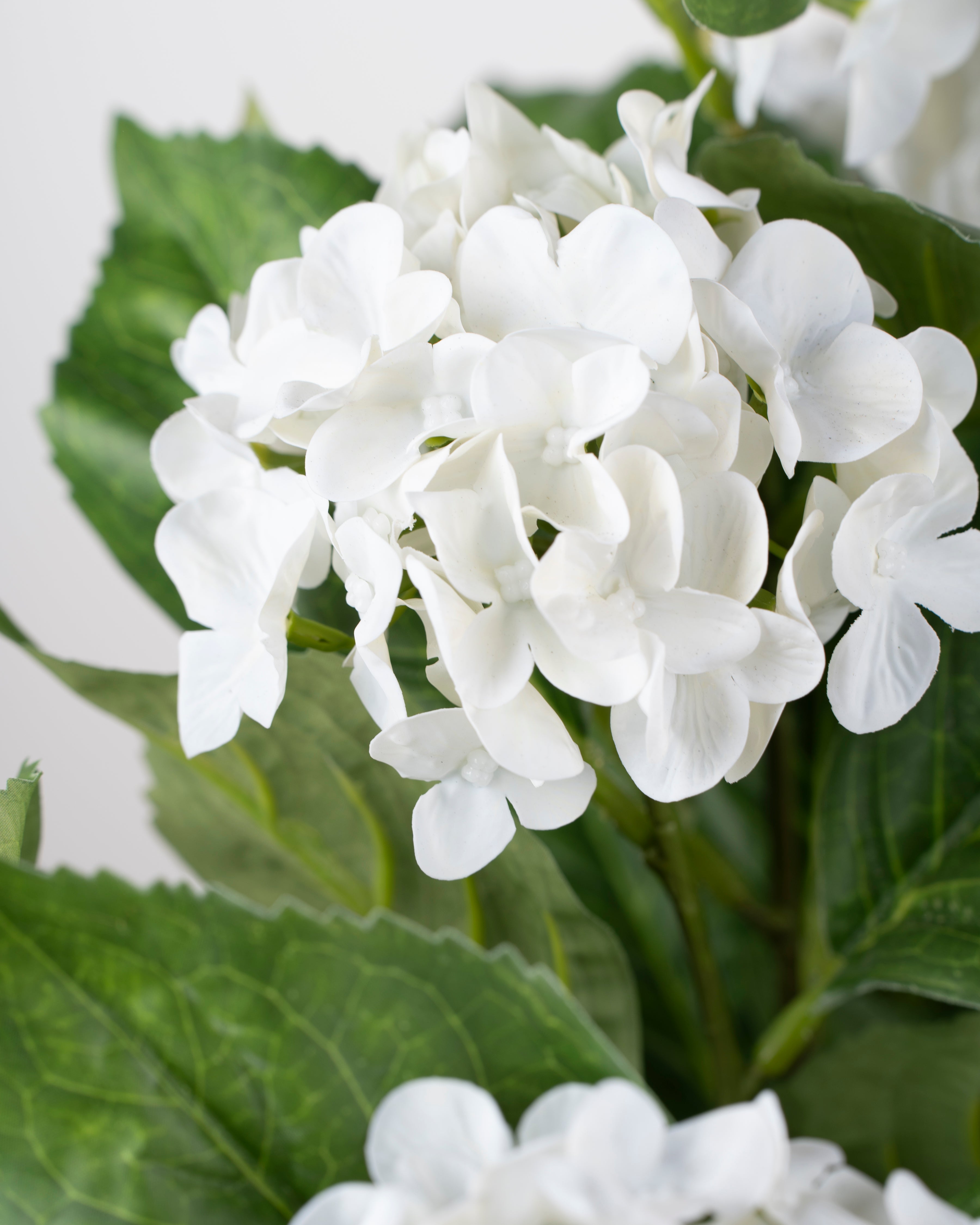 Faux Hydrangea Plant