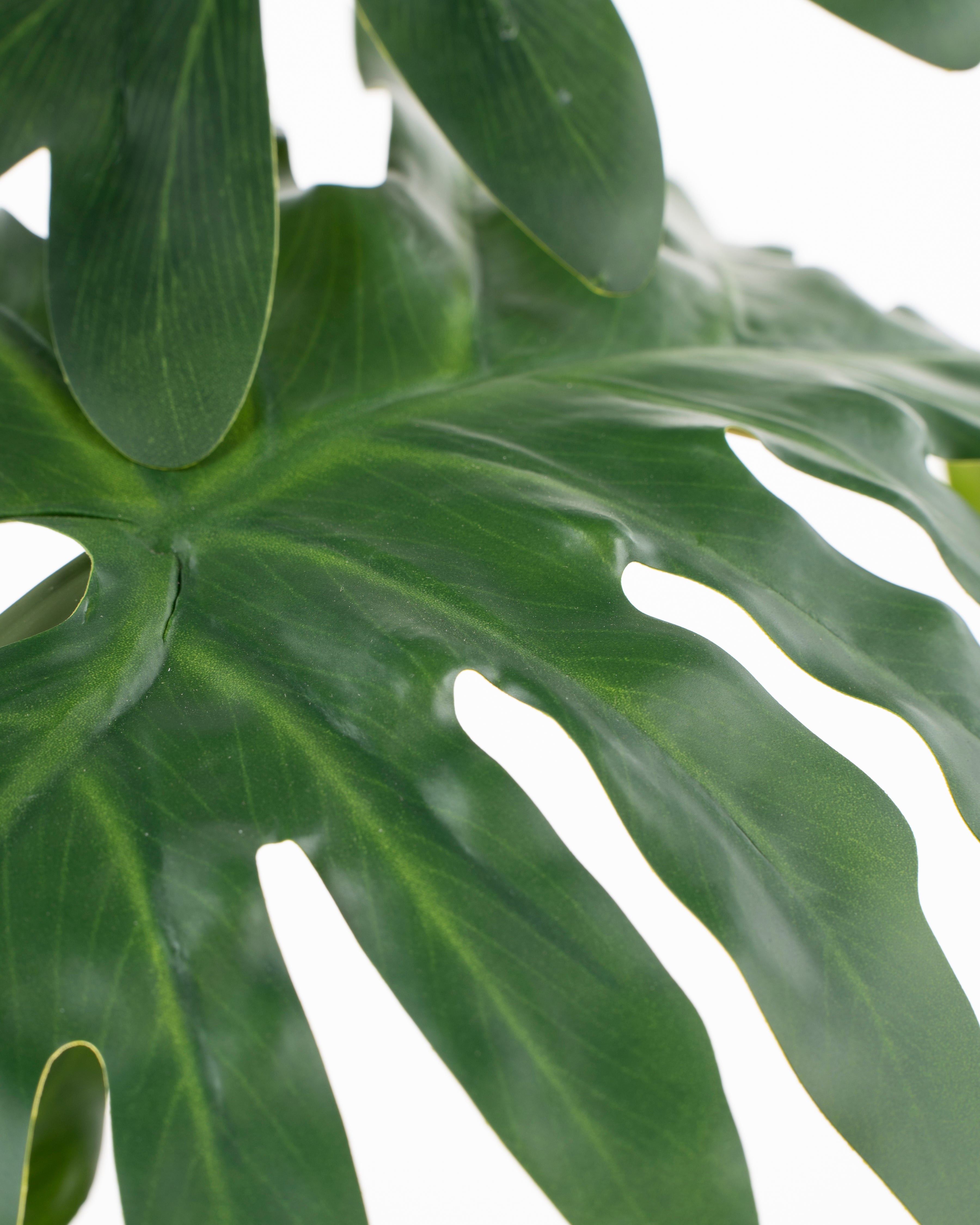 Faux Philodendron Plant