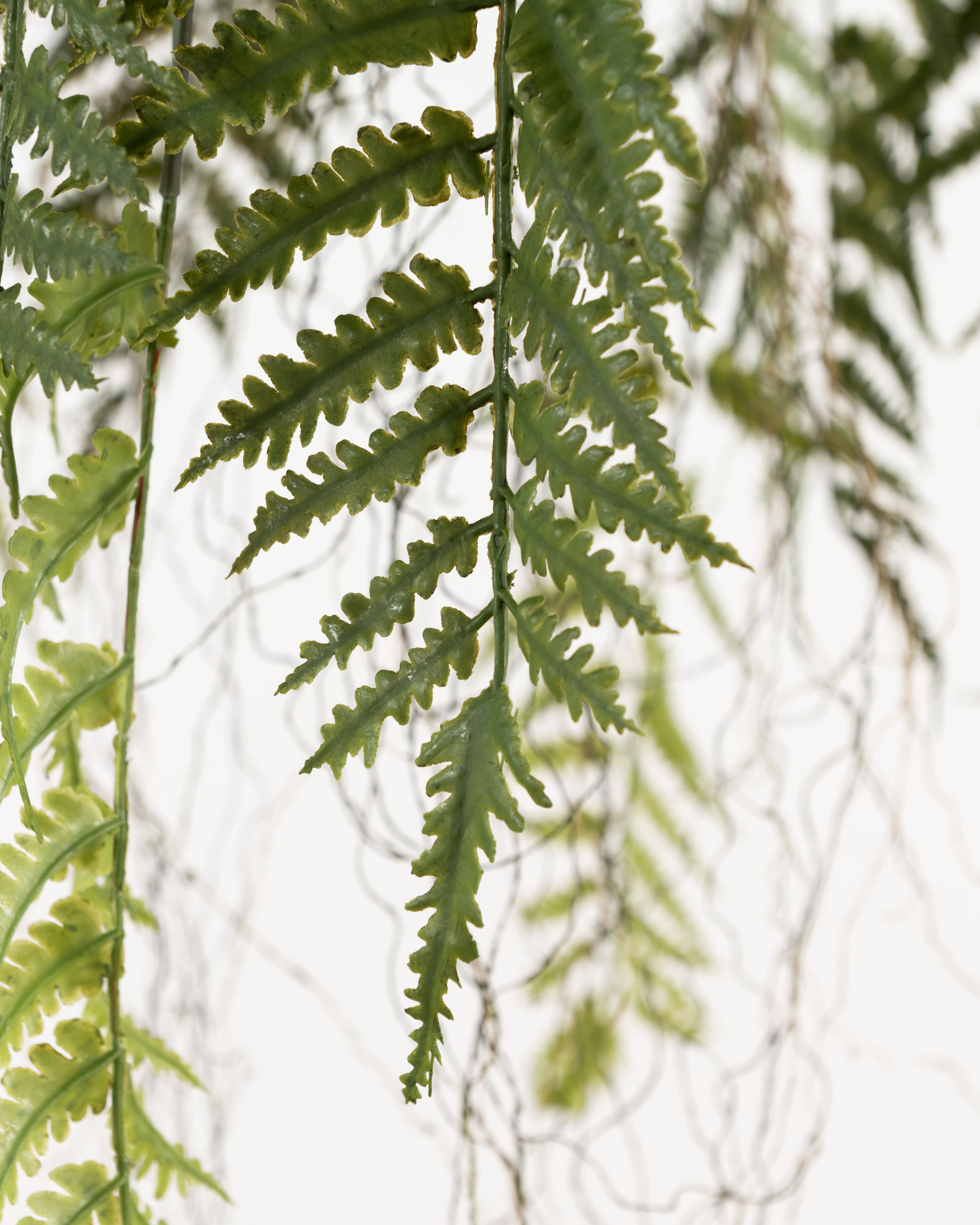 Faux Hanging Fern