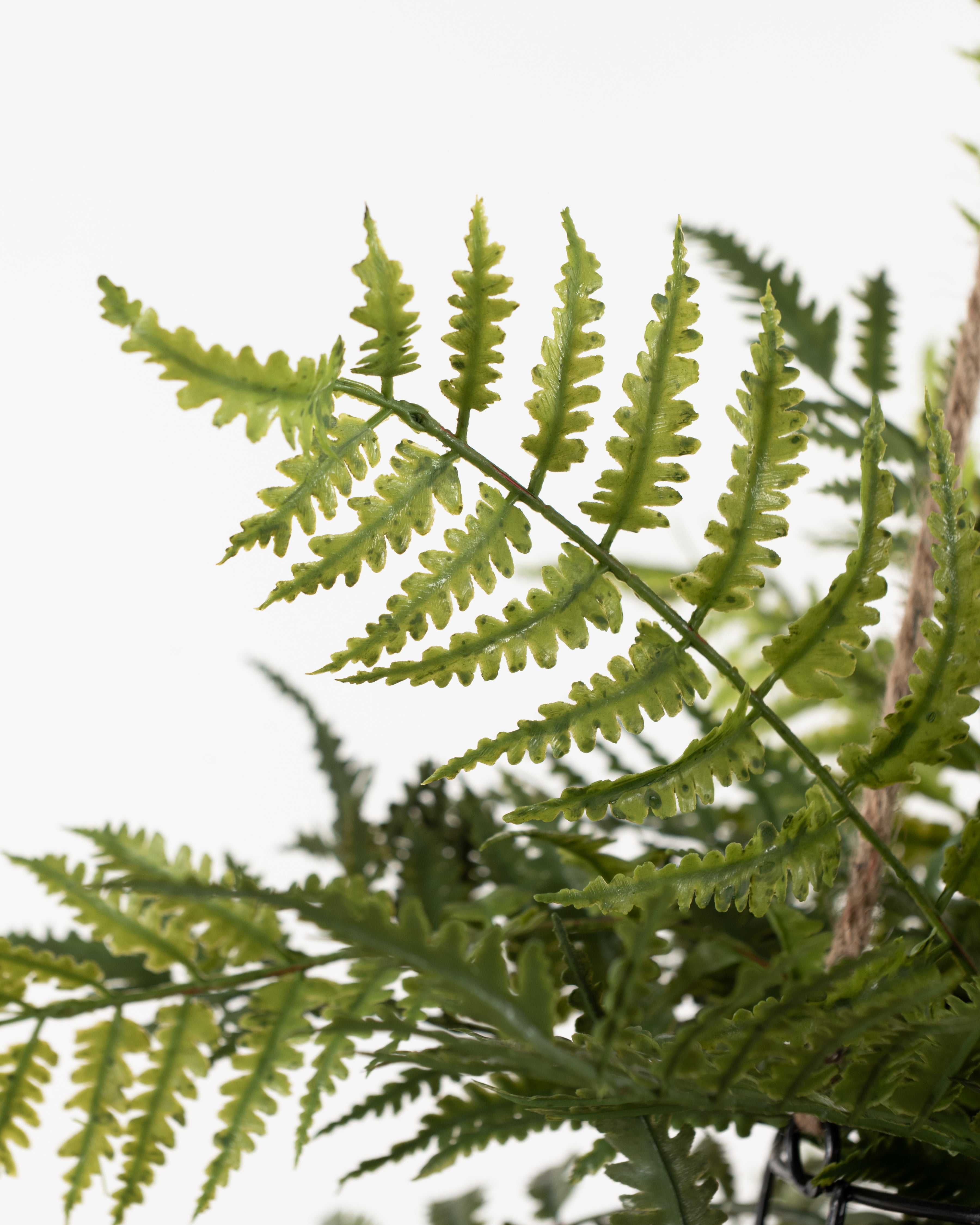 Faux Hanging Fern