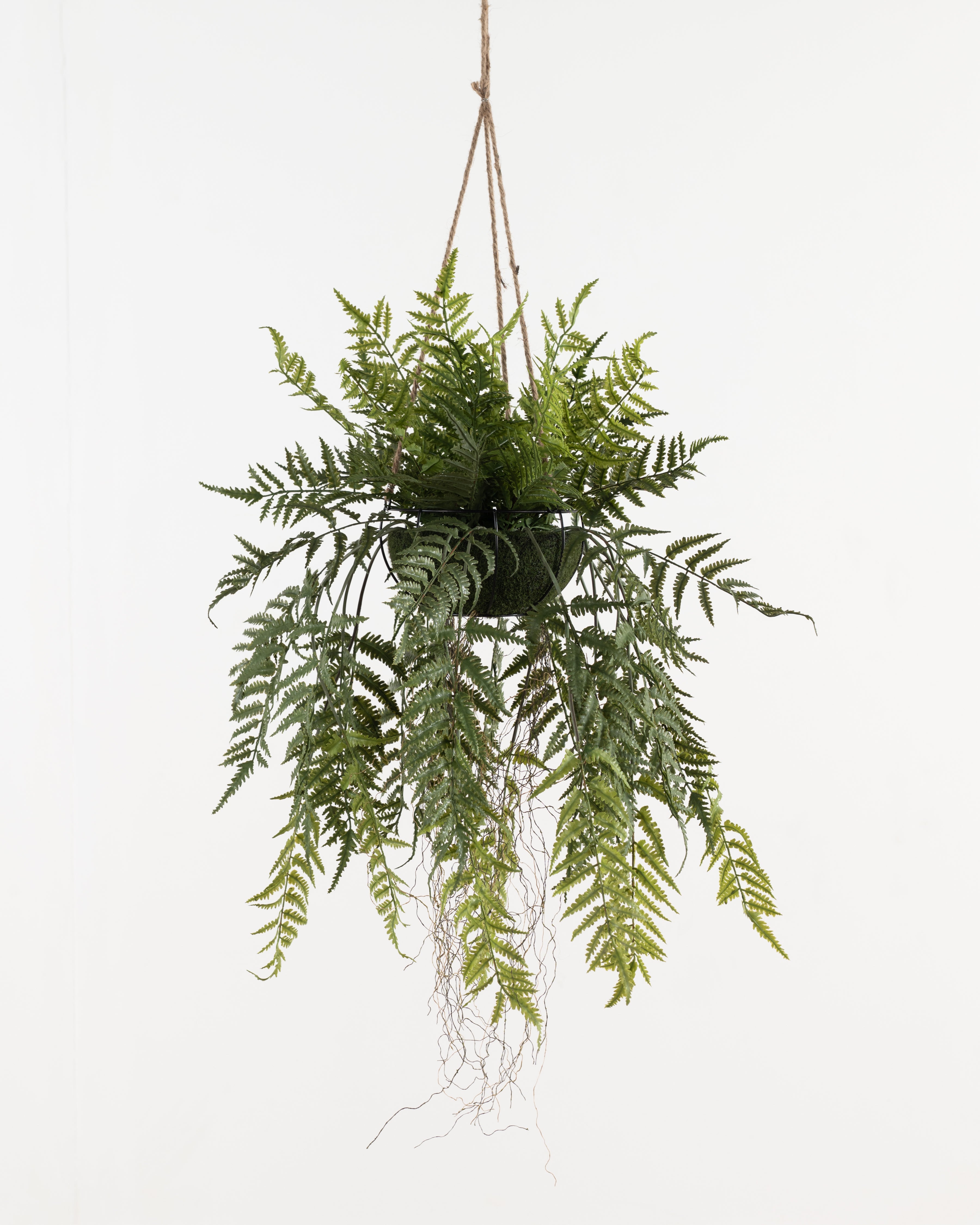 Faux Hanging Fern