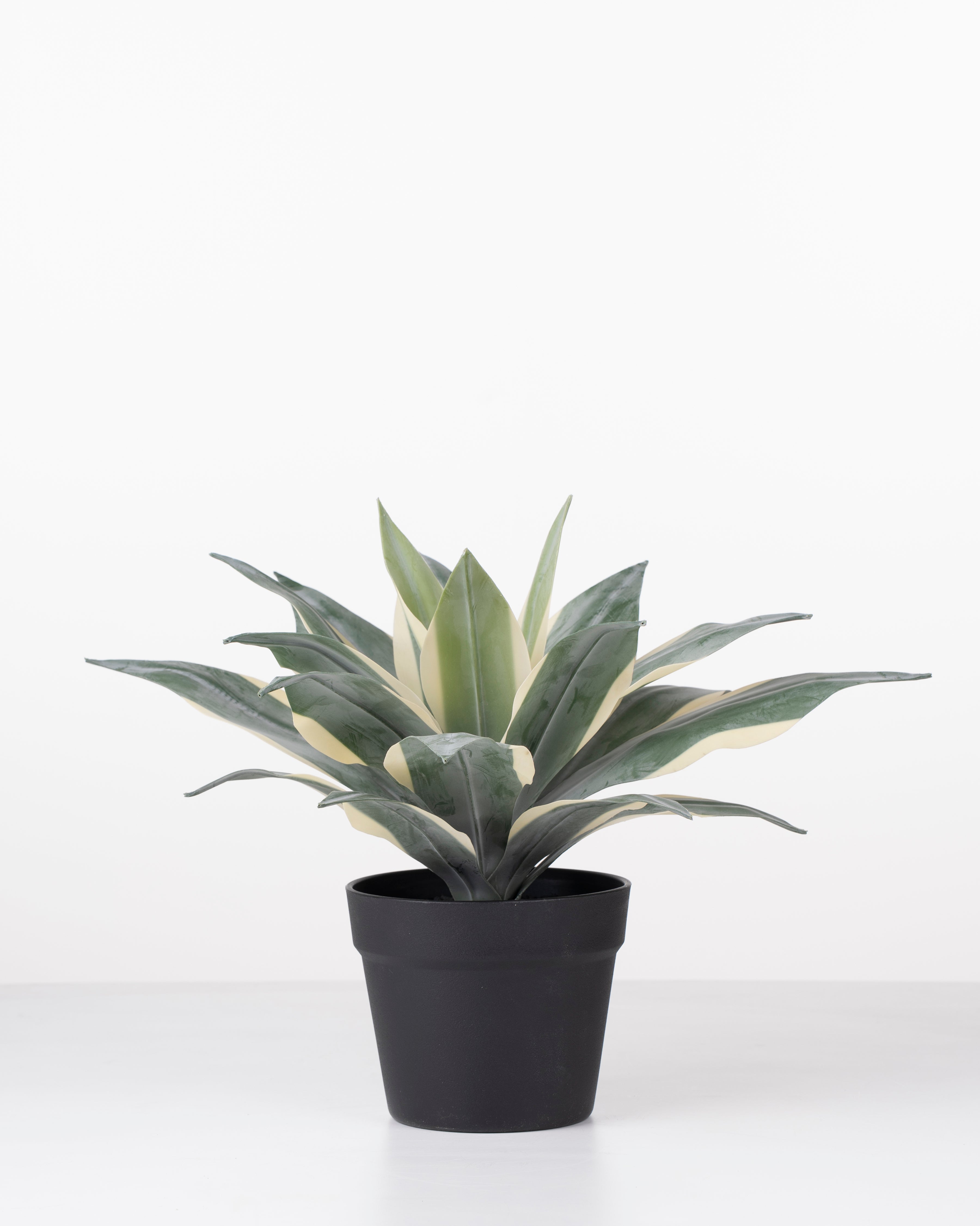 Faux Lechuguilla Plant | 38cm
