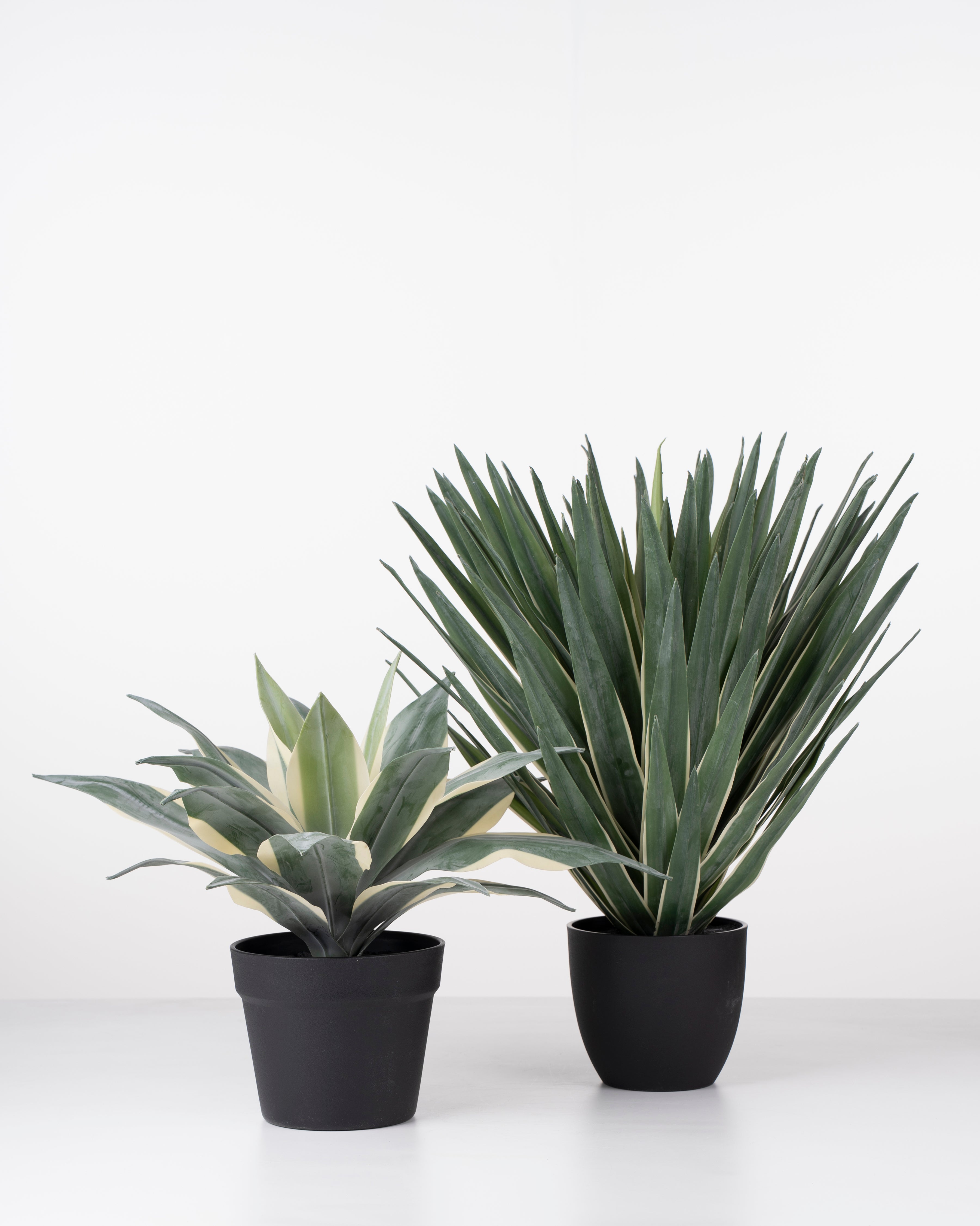 Faux Lechuguilla Plant | 45cm
