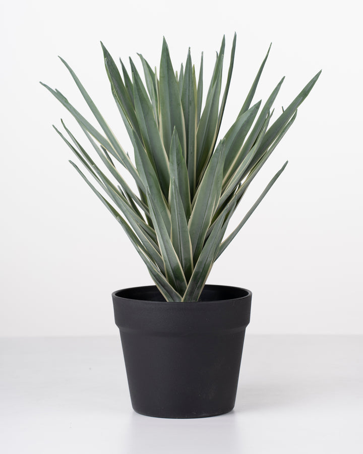 Faux Sisal plant