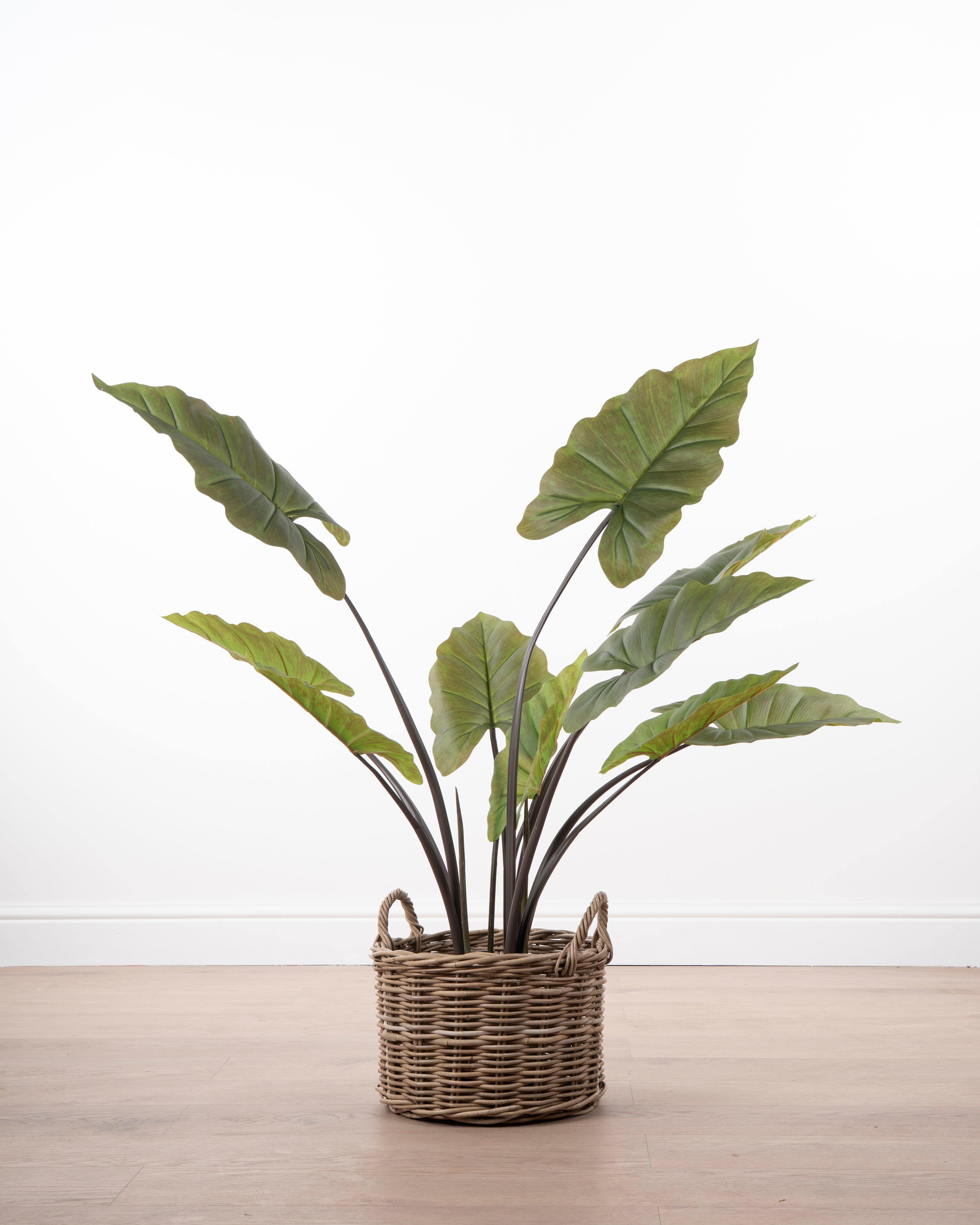 Faux Leaf Plant
