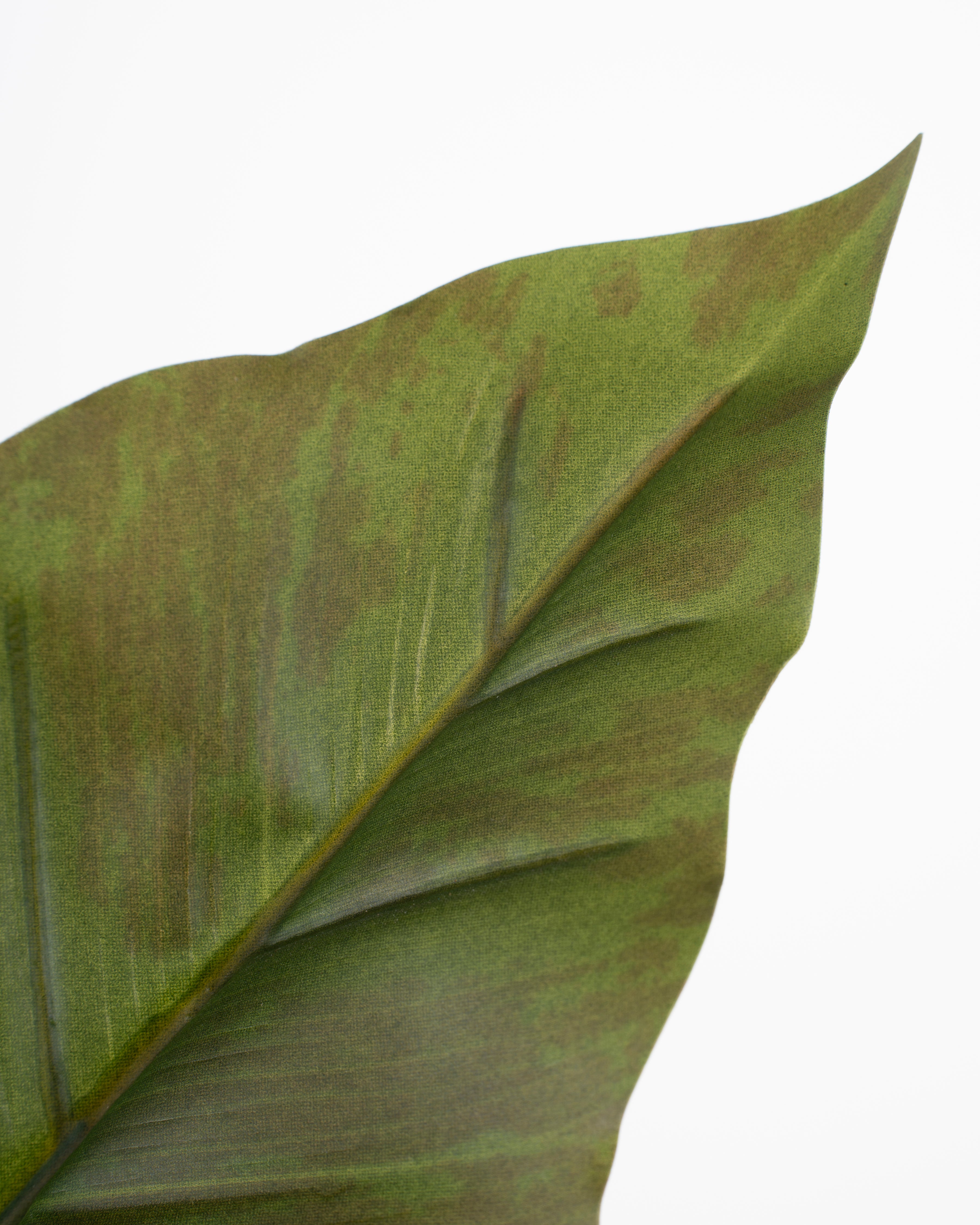 Faux Leaf Plant