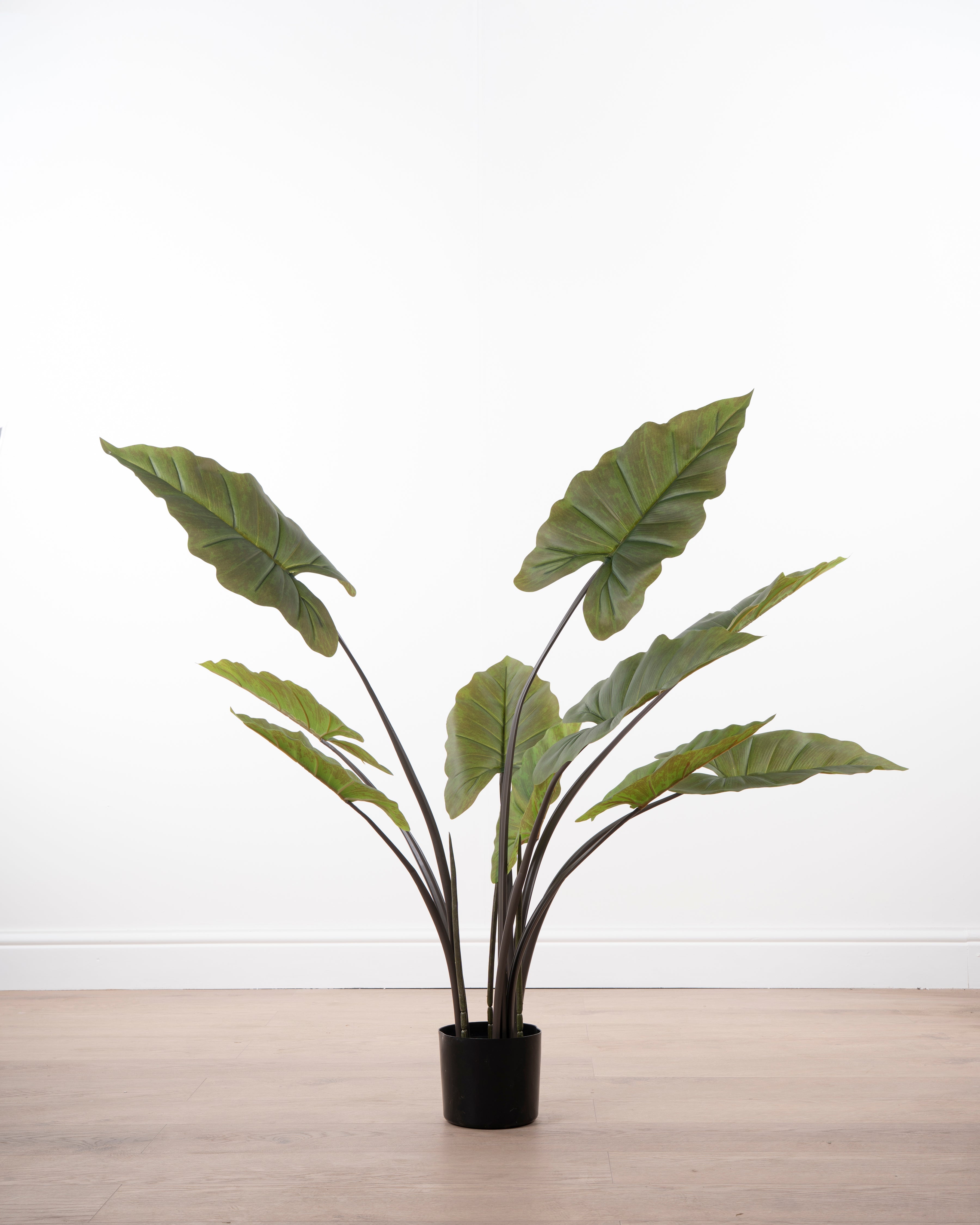 Faux Leaf Plant