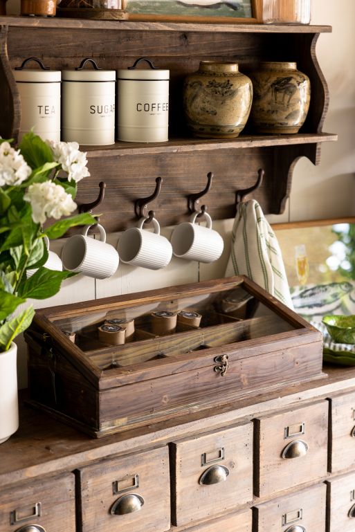 Greenhouse Terrarium Display Chest