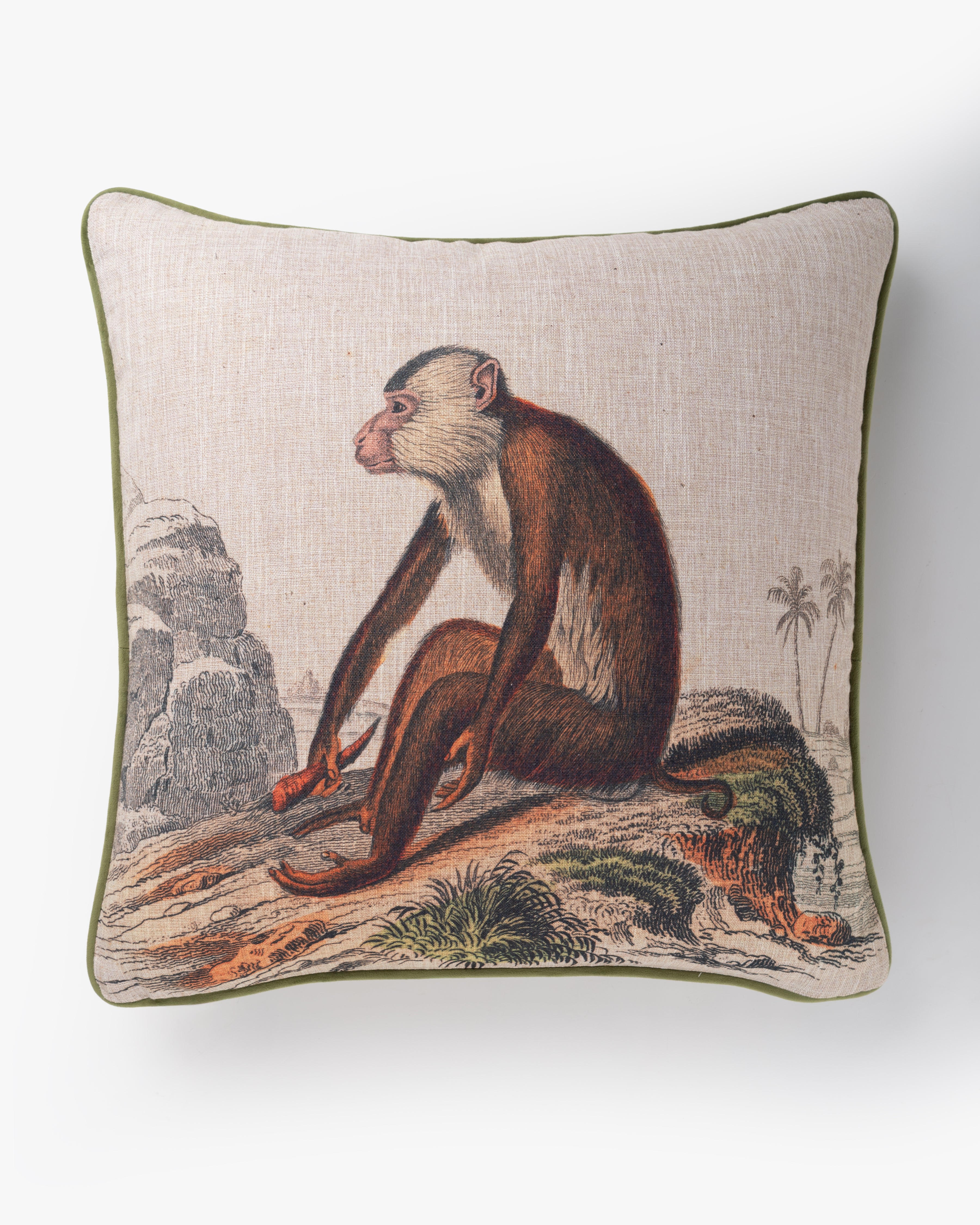 Ancient Monkey Cushion